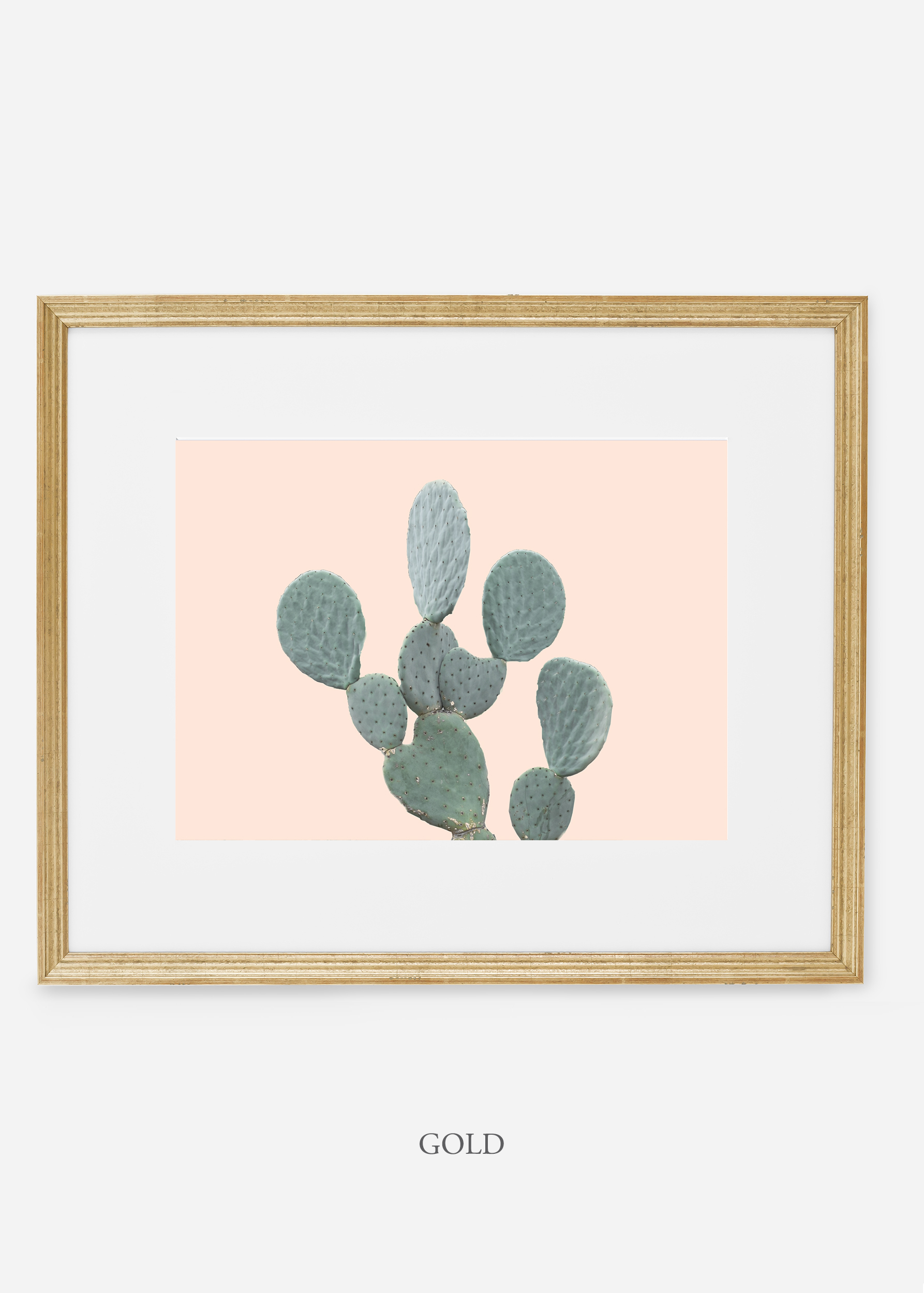 WilderCalifornia_goldframe_MinimalCactusNo.1_interiordesign_cactusprint_art.jpg