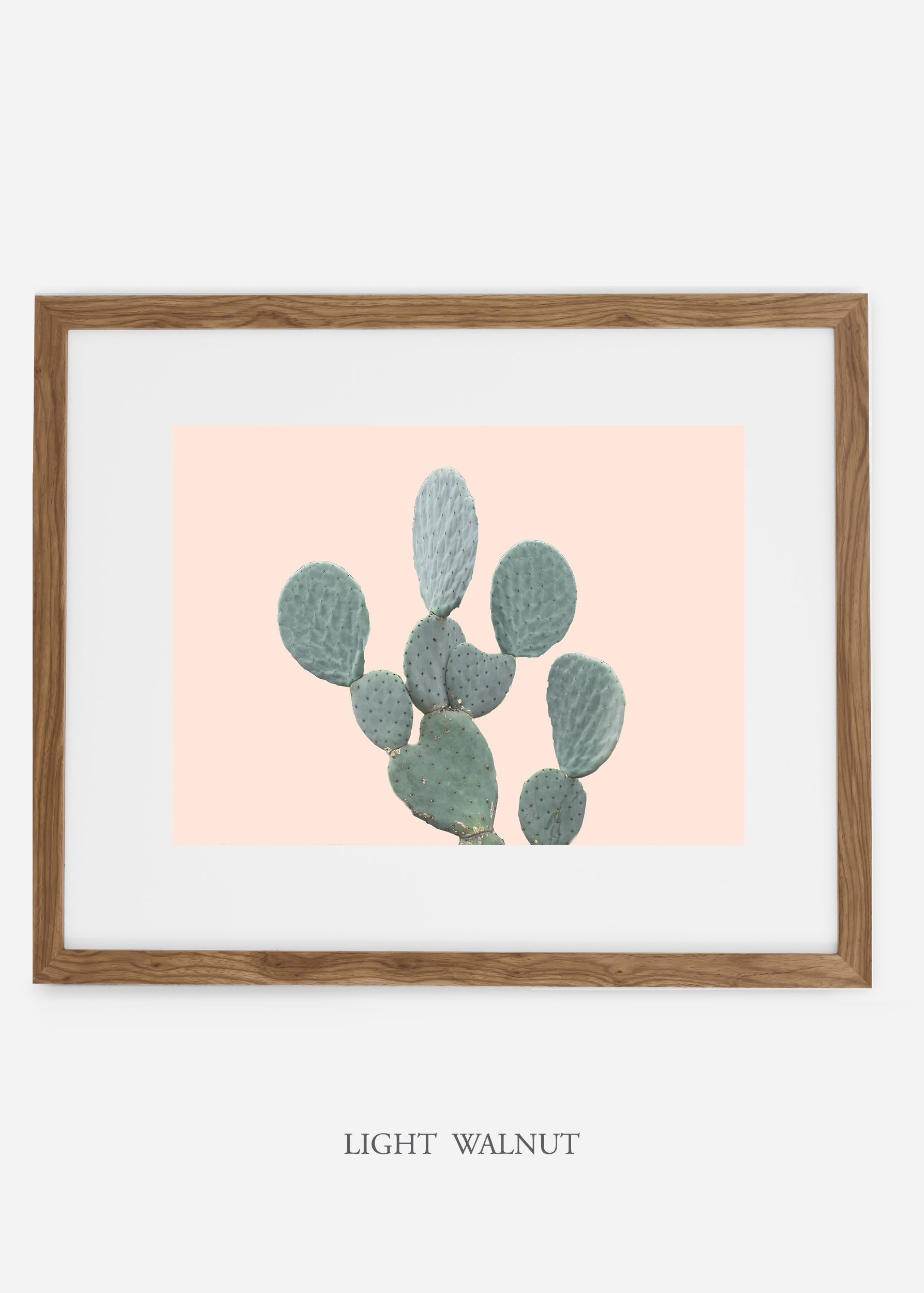 WilderCalifornia_lightwalnutframe_MinimalCactusNo.1_interiordesign_cactusprint_art.jpg