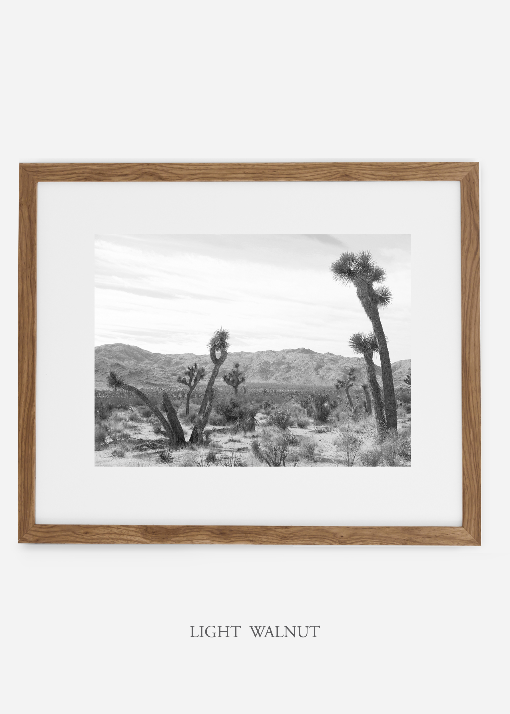 WilderCalifornia_lightwalnutframe_JoshuaTree_No.4_interiordesign_cactusprint_art.jpg