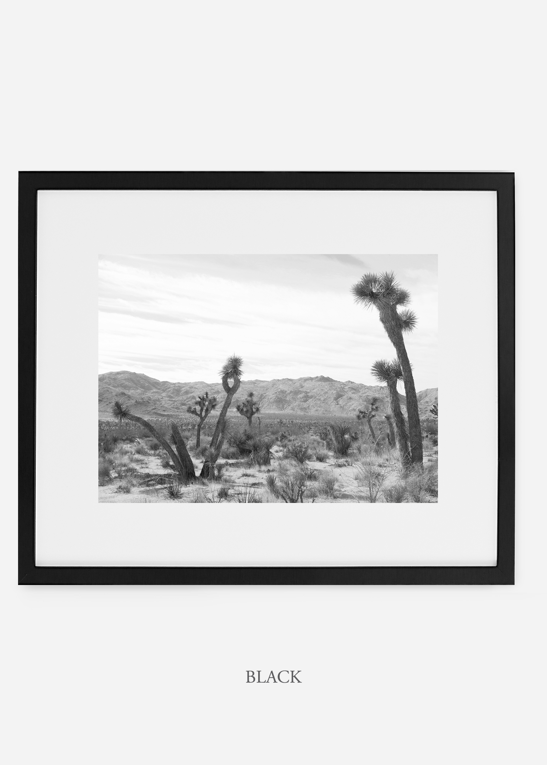 WilderCalifornia_blackframe_JoshuaTree_No.4_interiordesign_cactusprint_art.jpg