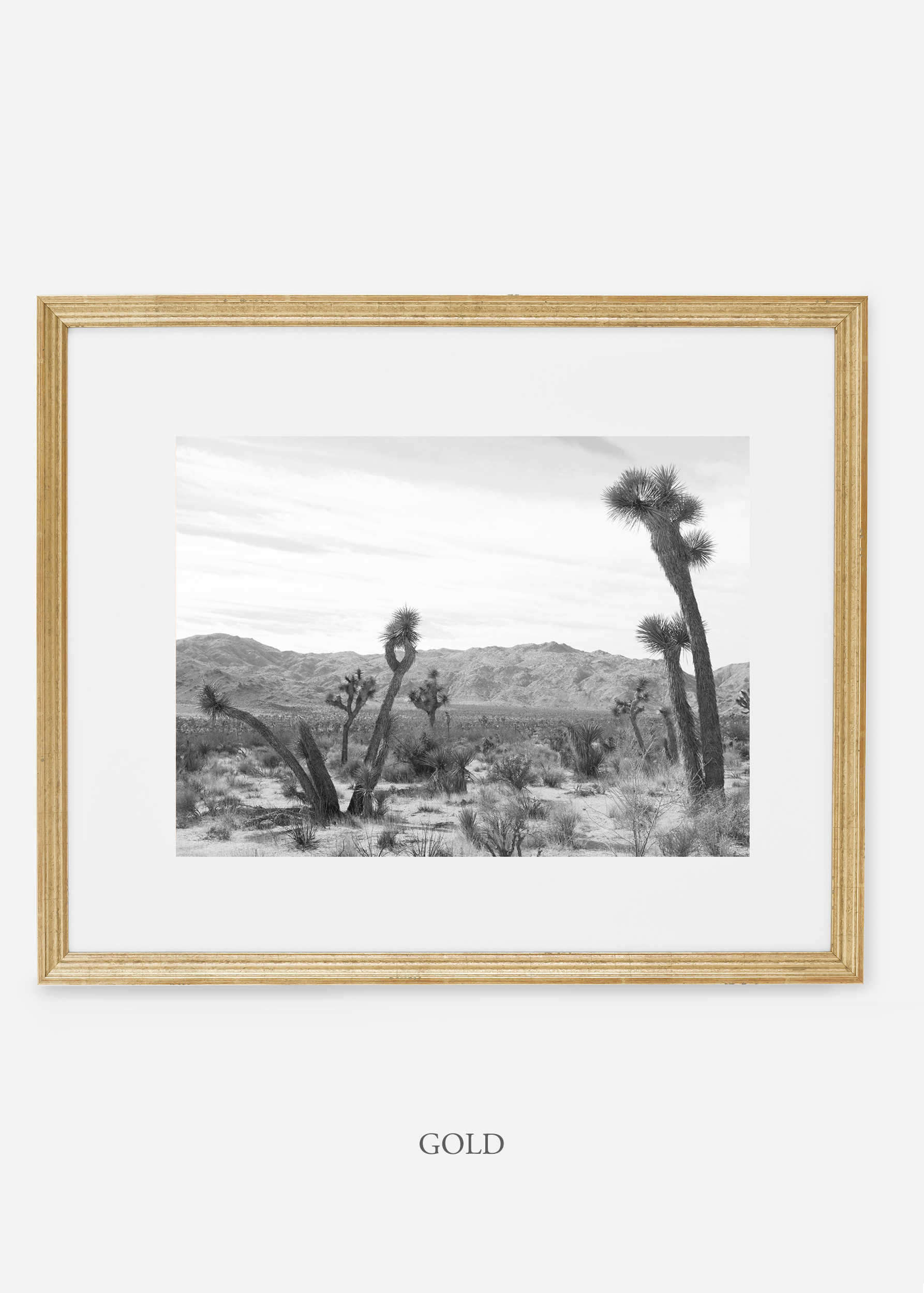 WilderCalifornia_goldframe_JoshuaTree_No.4_interiordesign_cactusprint_art.jpg