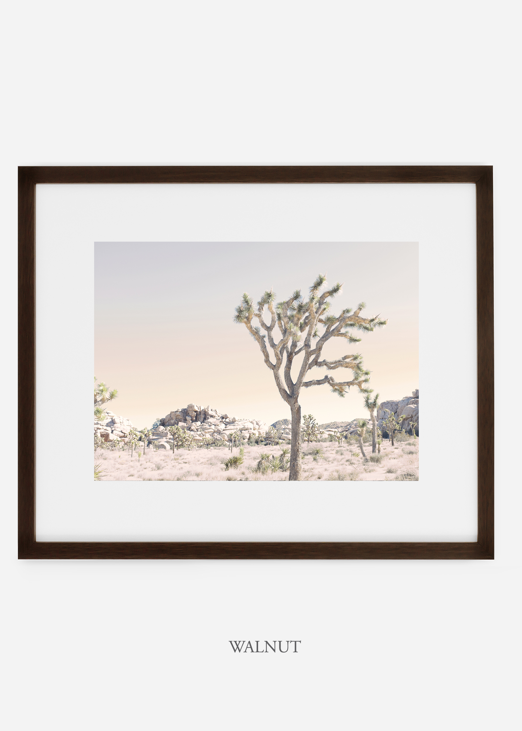 WilderCalifornia_walnutframe_JoshuaTree_No.3_interiordesign_prints_art.jpg