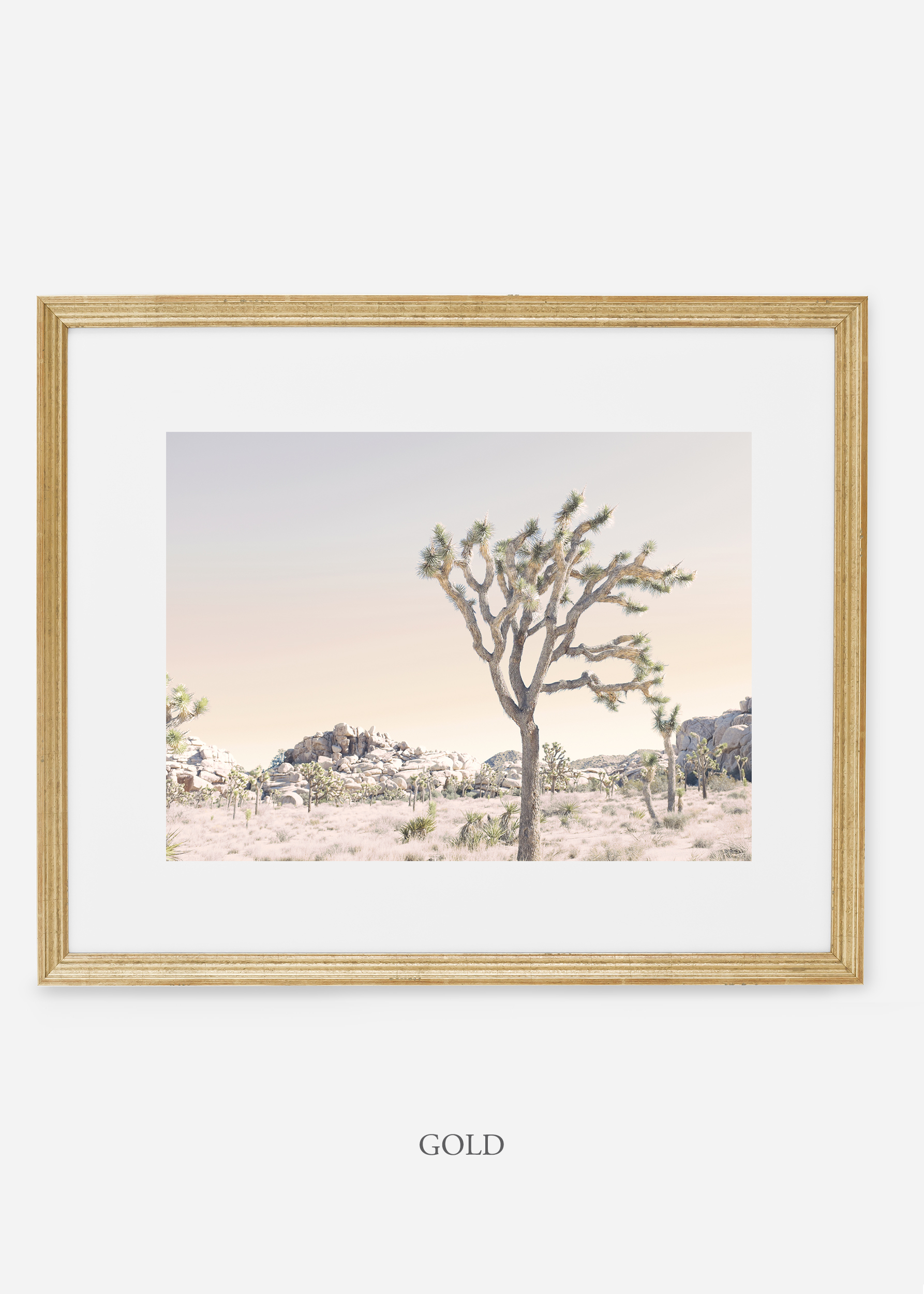 WilderCalifornia_goldframe_JoshuaTree_No.3_interiordesign_prints_art.jpg