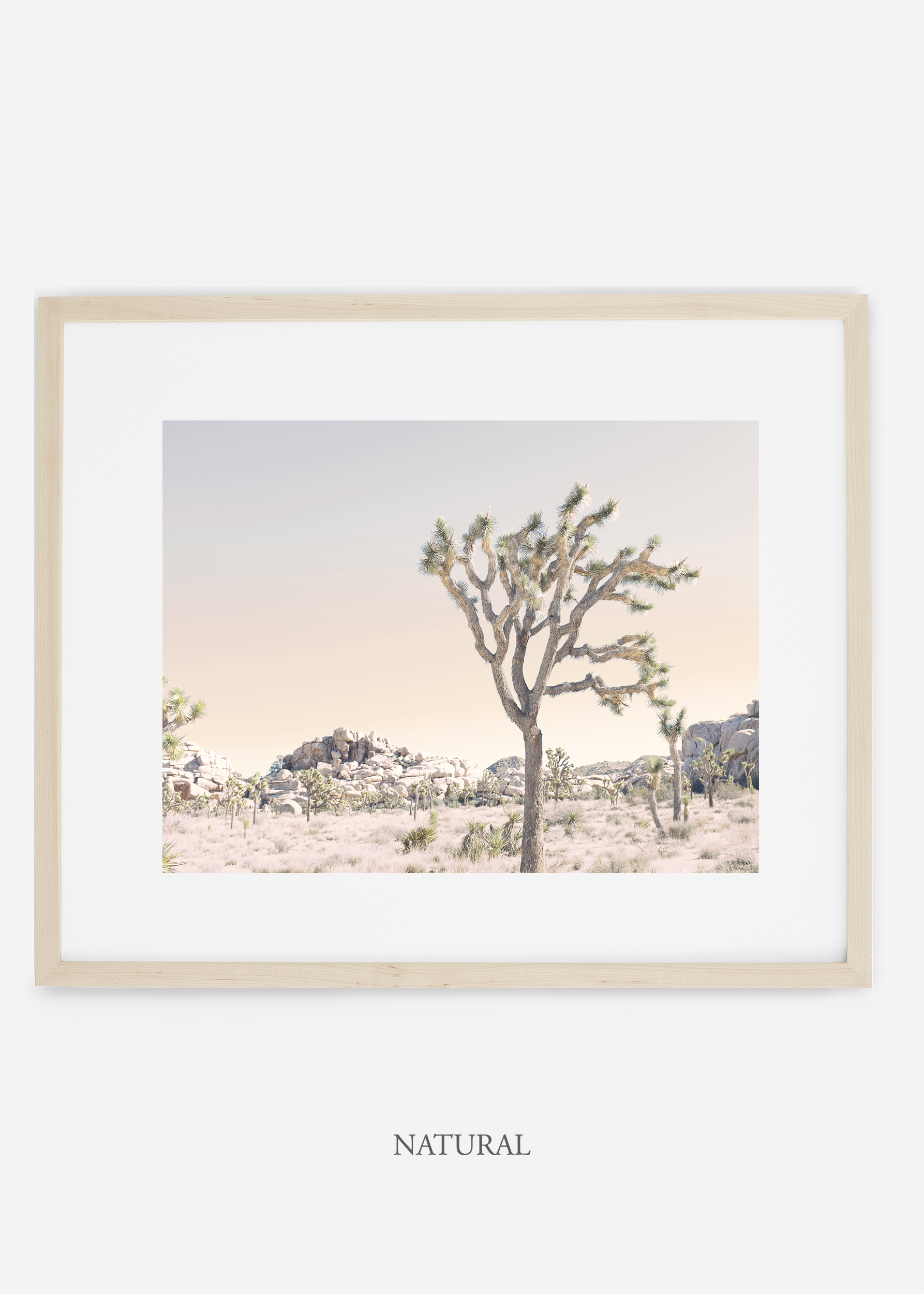 WilderCalifornia_naturalframe_JoshuaTree_No.3_interiordesign_prints_art.jpg