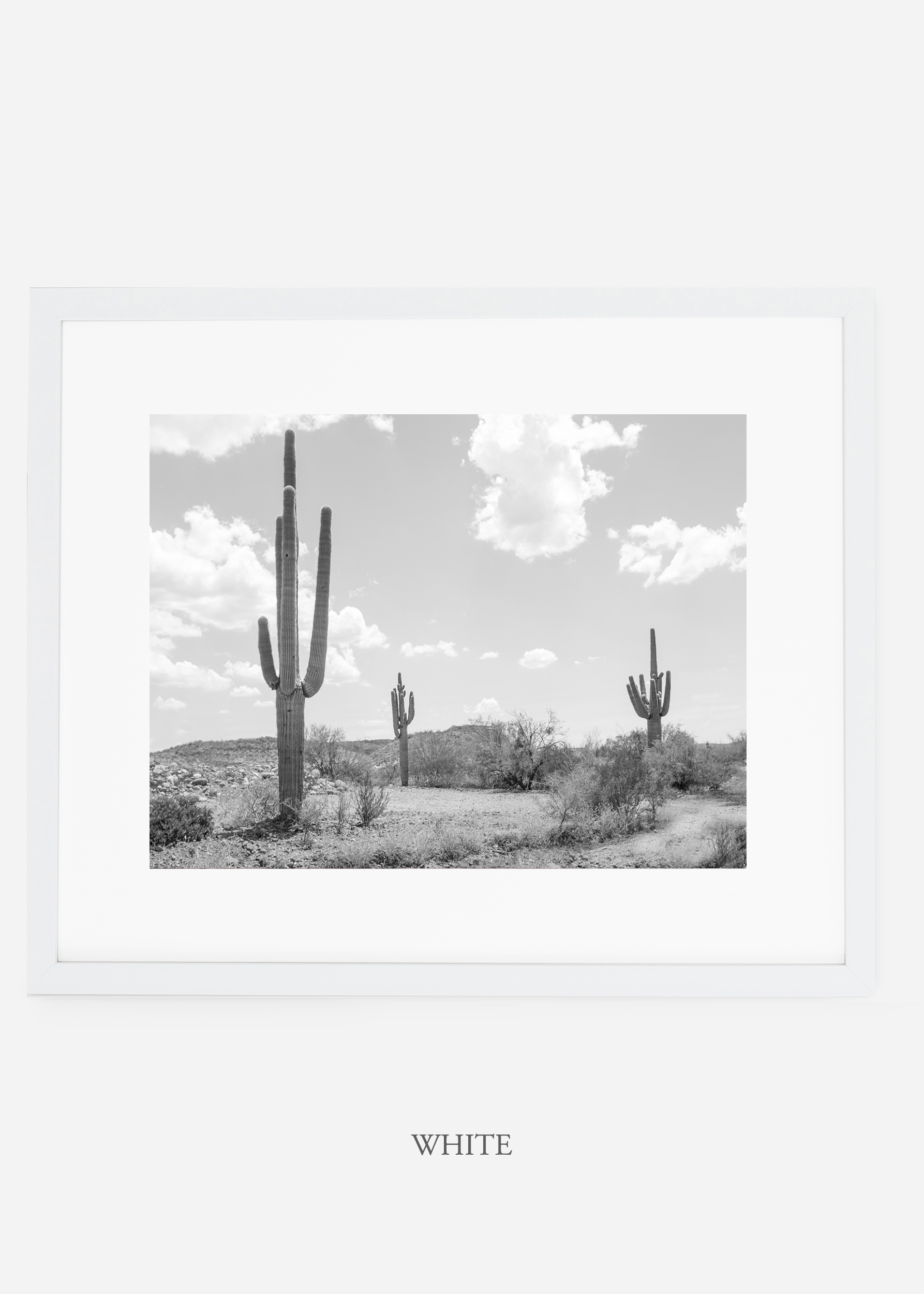 wildercalifornia_whiteframe_threesaguaro_cactus_art_interiordesign.jpg