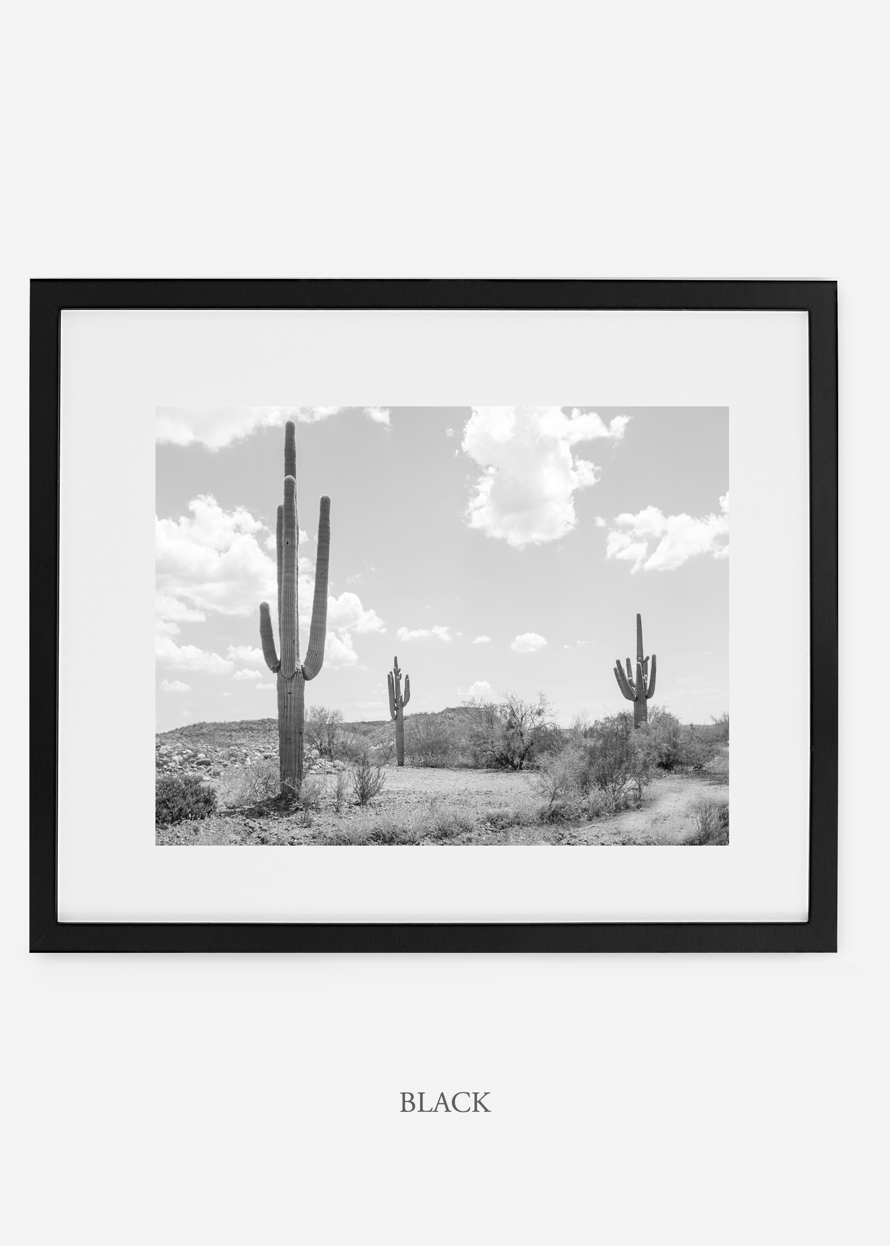 wildercalifornia_blackframe_threesaguaro_cactus_art_interiordesign.jpg
