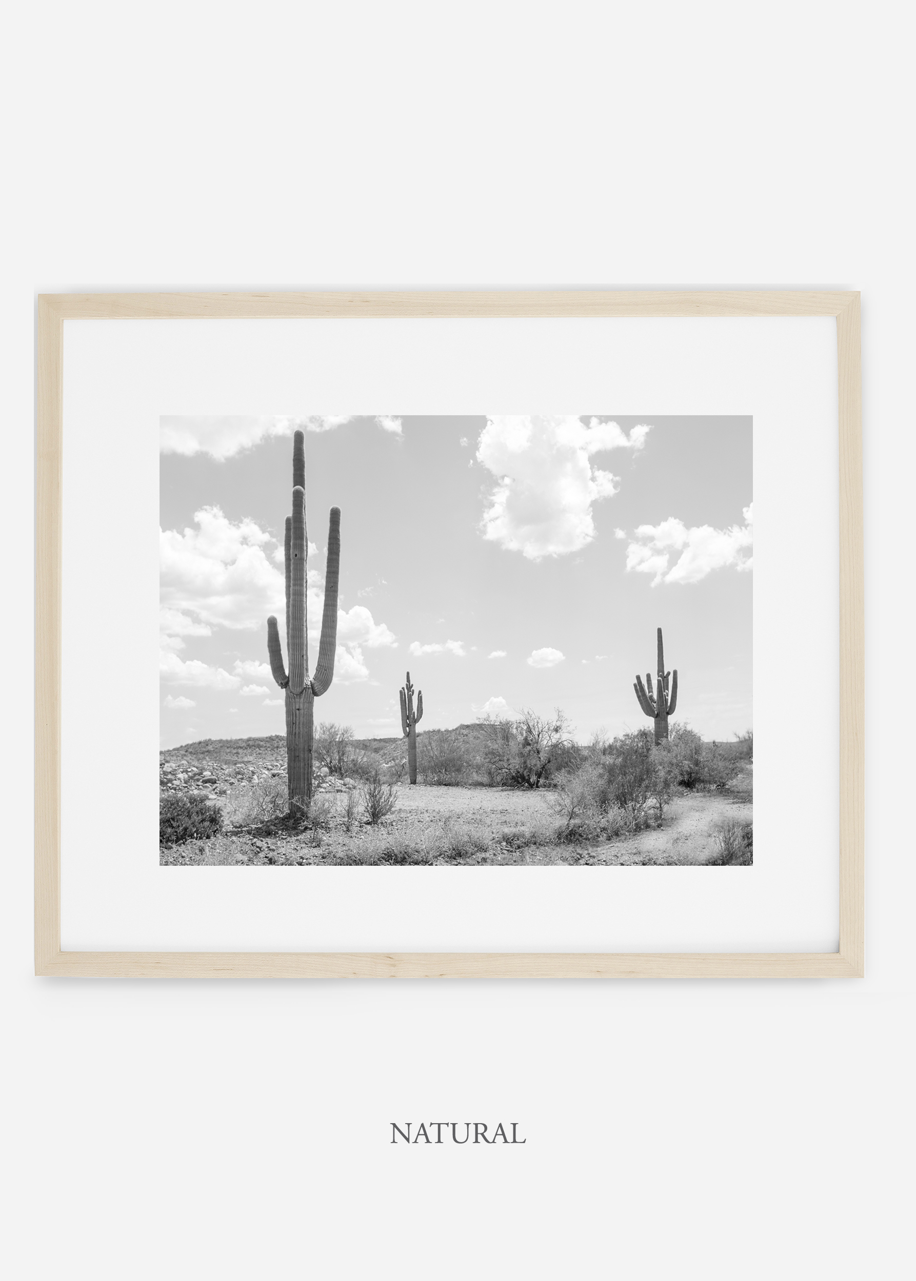 wildercalifornia_naturalframe_threesaguaro_cactus_art_interiordesign.jpg