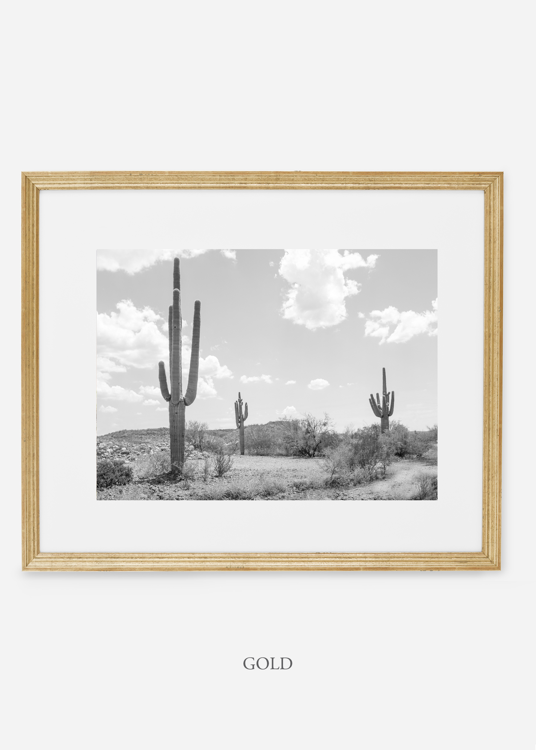 wildercalifornia_goldframe_threesaguaro_cactus_art_interiordesign.jpg