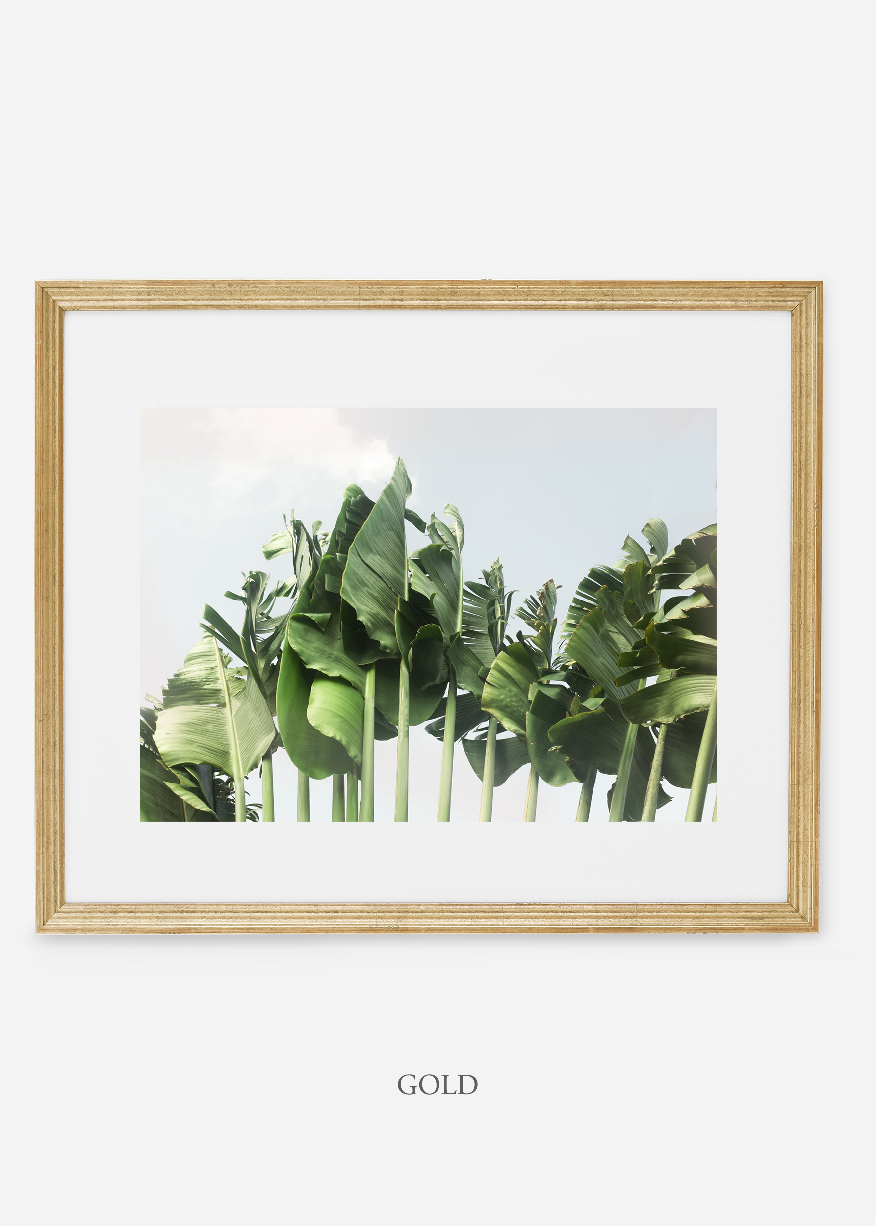 wildercalifornia_goldframe_tulum_bananaleaf_No.1_minimal_cactus_art_interiordesign_blackandwhite.jpg