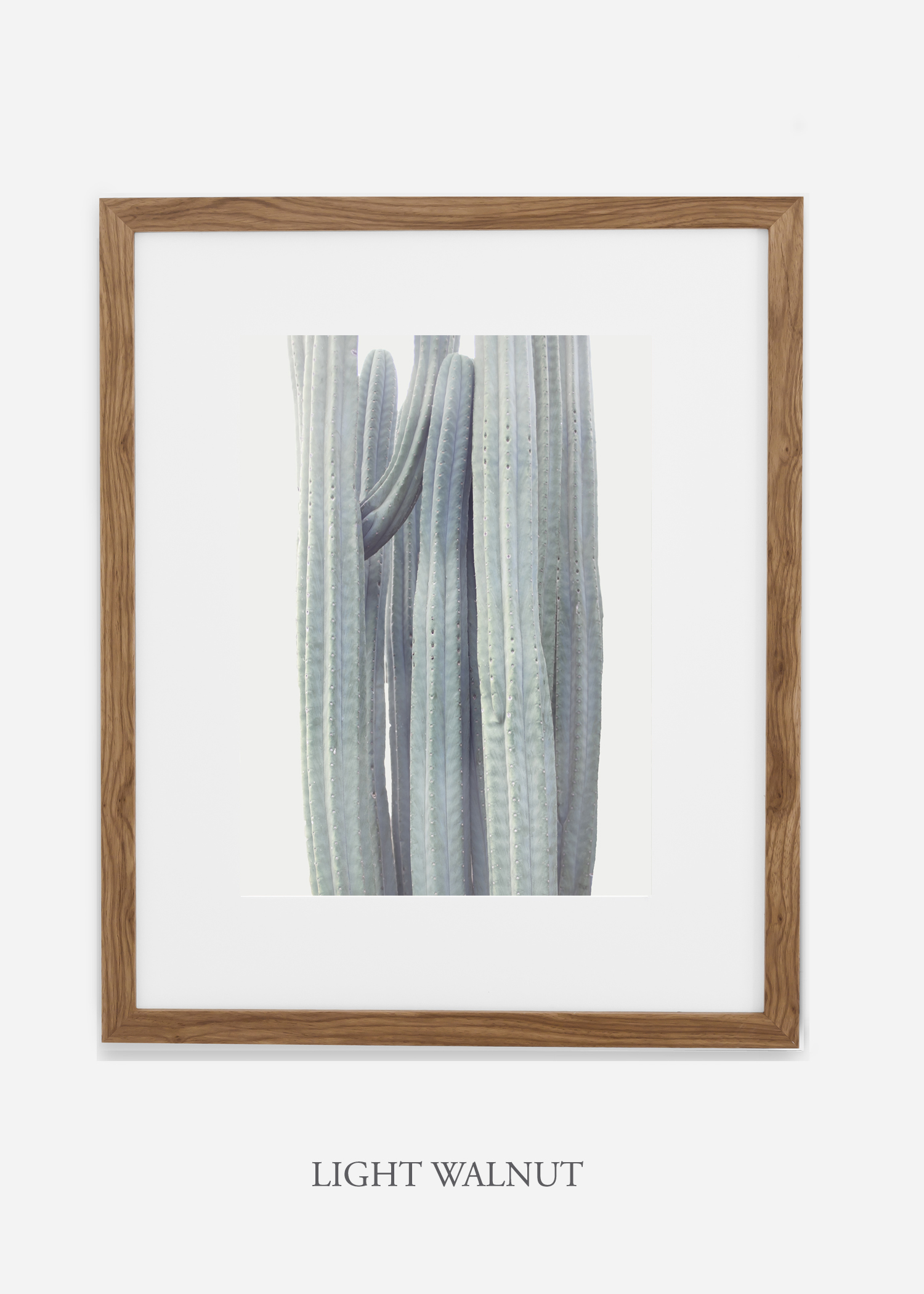 wildercalifornia_winterwhite_lightwalnutframe_interiordesign_white_neutral_cactus_art_photography_large.jpg