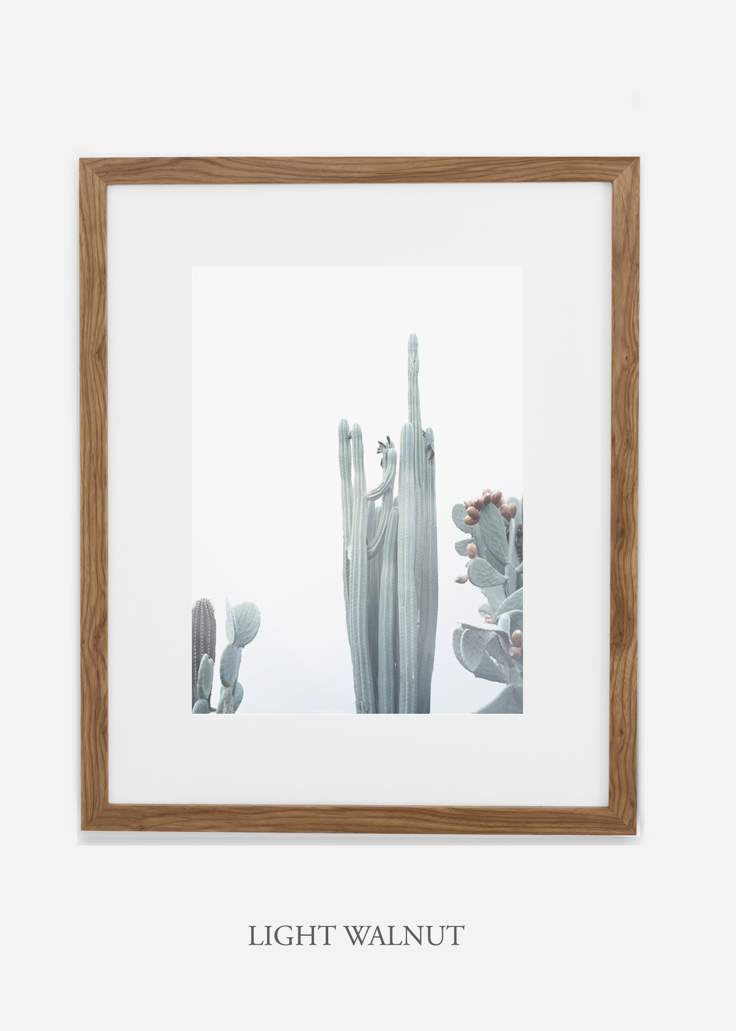 wildercalifornia_winterwhite_No.1_lightwalnutframe_interiordesign_white_neutral_cactus_art_photography_large.jpg