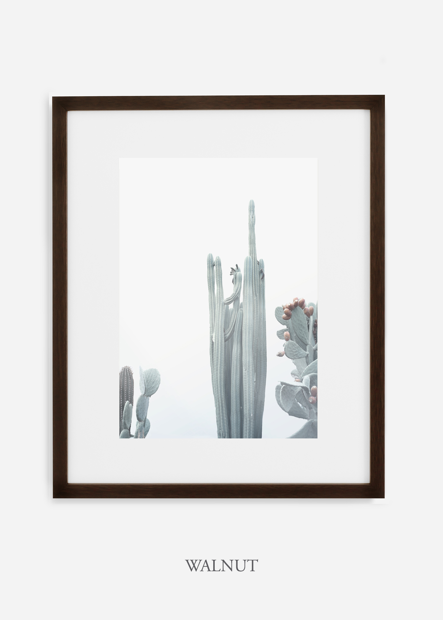 wildercalifornia_winterwhite_No.1_walnutframe_interiordesign_white_neutral_cactus_art_photography_large.jpg