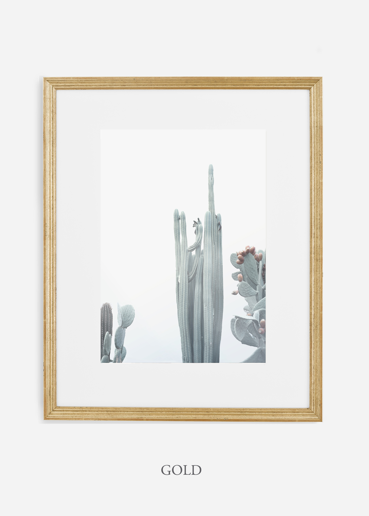 wildercalifornia_winterwhite_No.1_goldframe_interiordesign_white_neutral_cactus_art_photography_large.jpg