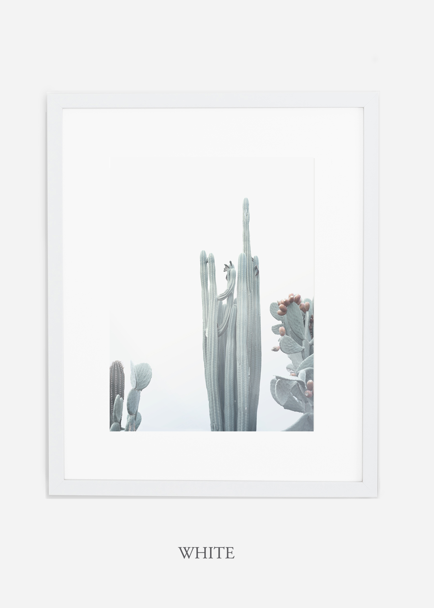 wildercalifornia_winterwhite_No.1_whiteframe_interiordesign_white_neutral_cactus_art_photography_large.jpg