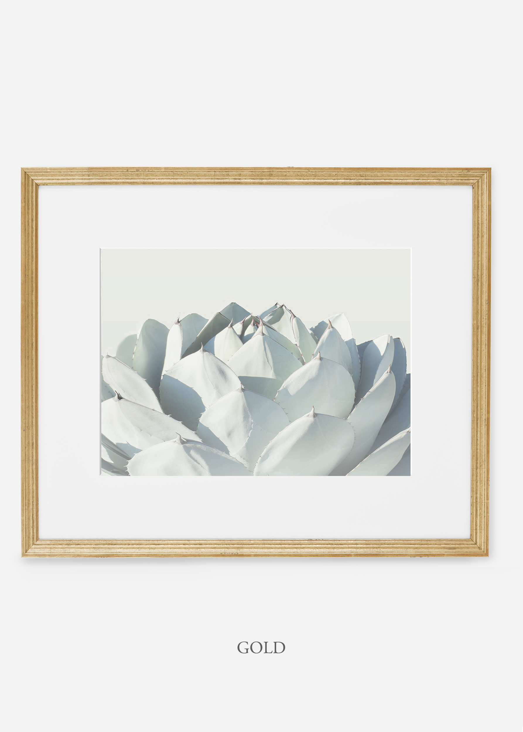 WilderCalifornia_goldframe_Cactus_Art_Photography_interiordesign_white_bohemian_neutral_photography_photo.jpg