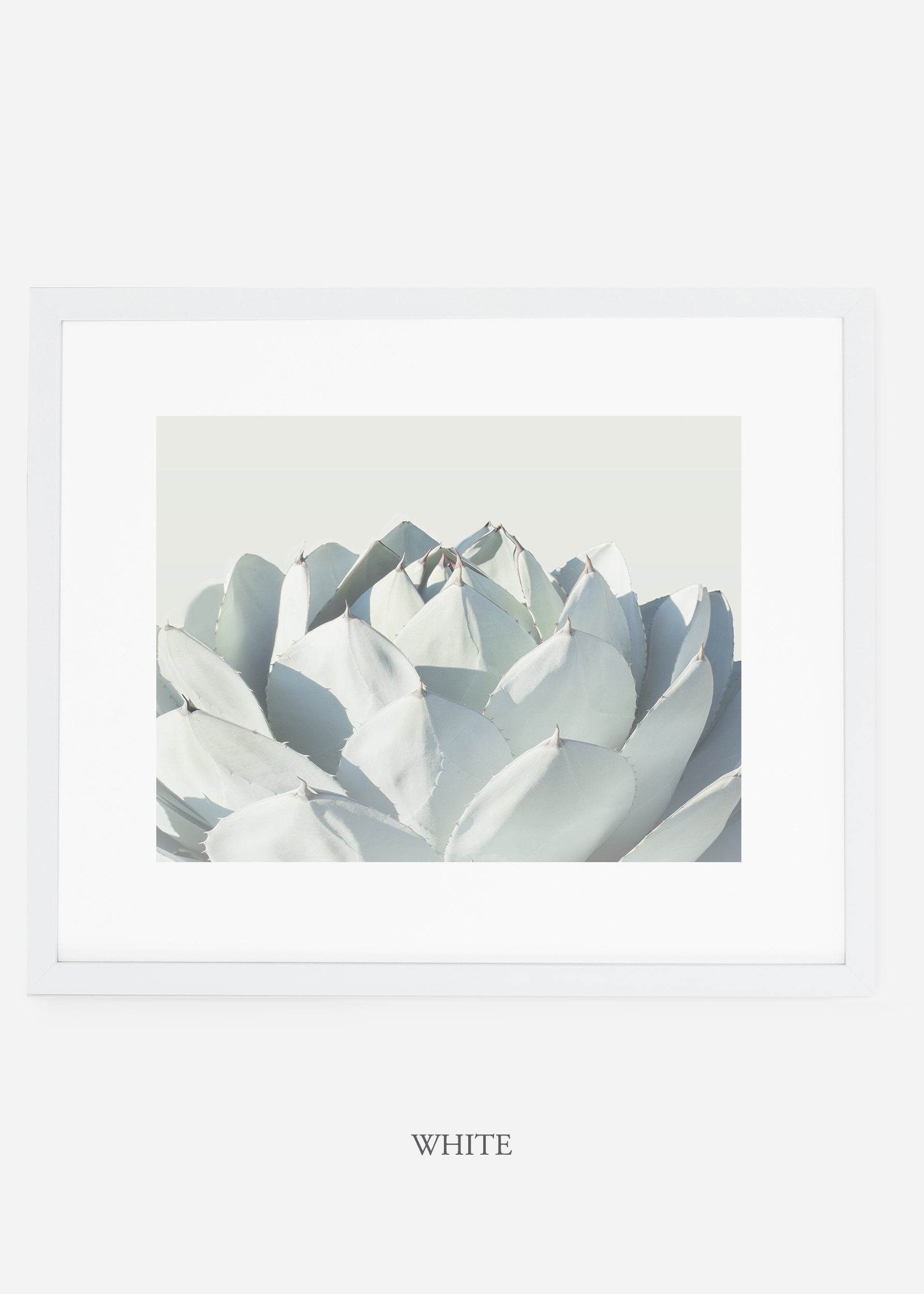 WilderCalifornia_whiteframe_Cactus_Art_Photography_interiordesign_white_bohemian_neutral_photography_photo.jpg