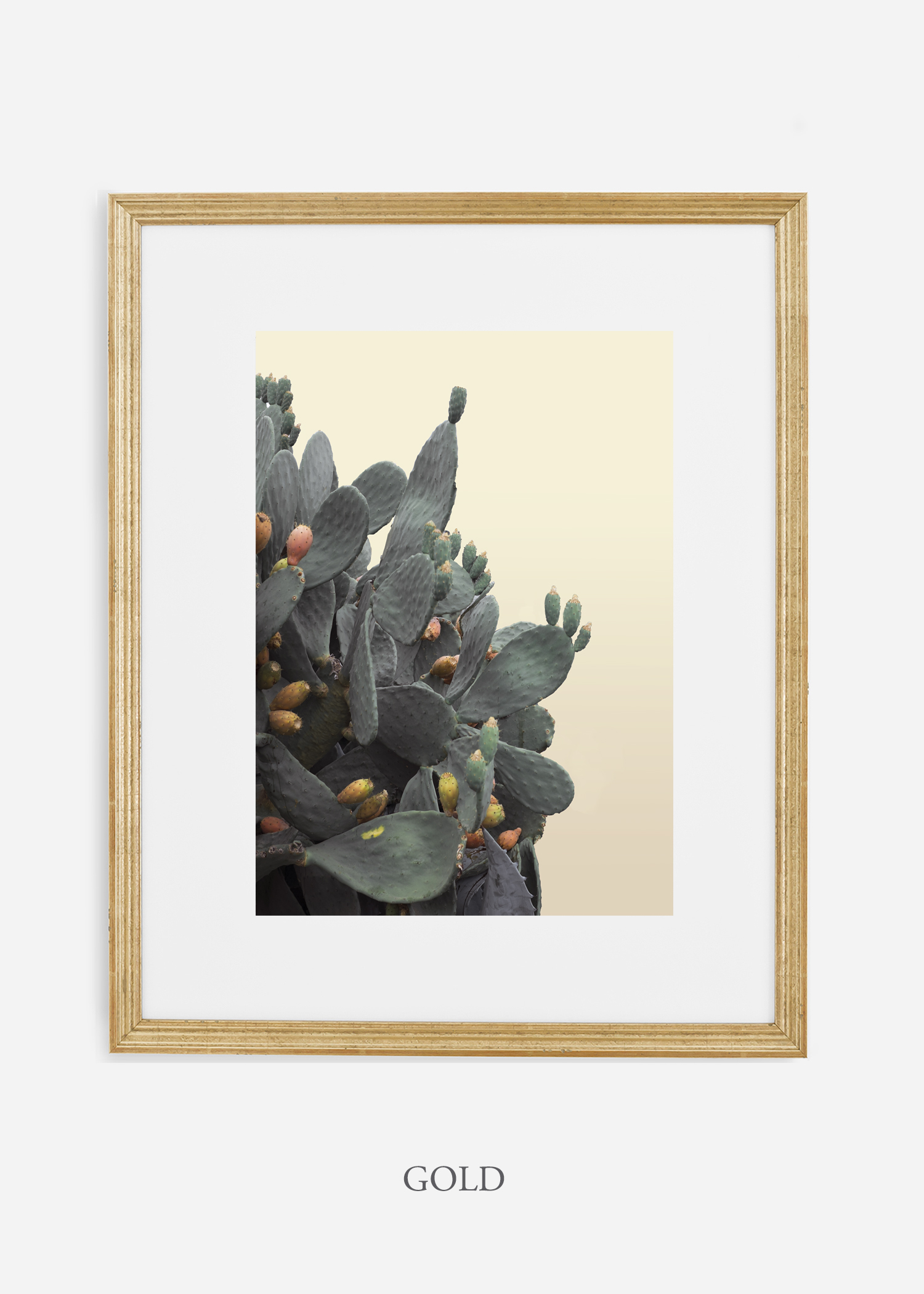 Desert_goldframe_FullMoonCactusCactus_Art_Photography_interiordesign_bohemian_cactusart.jpg