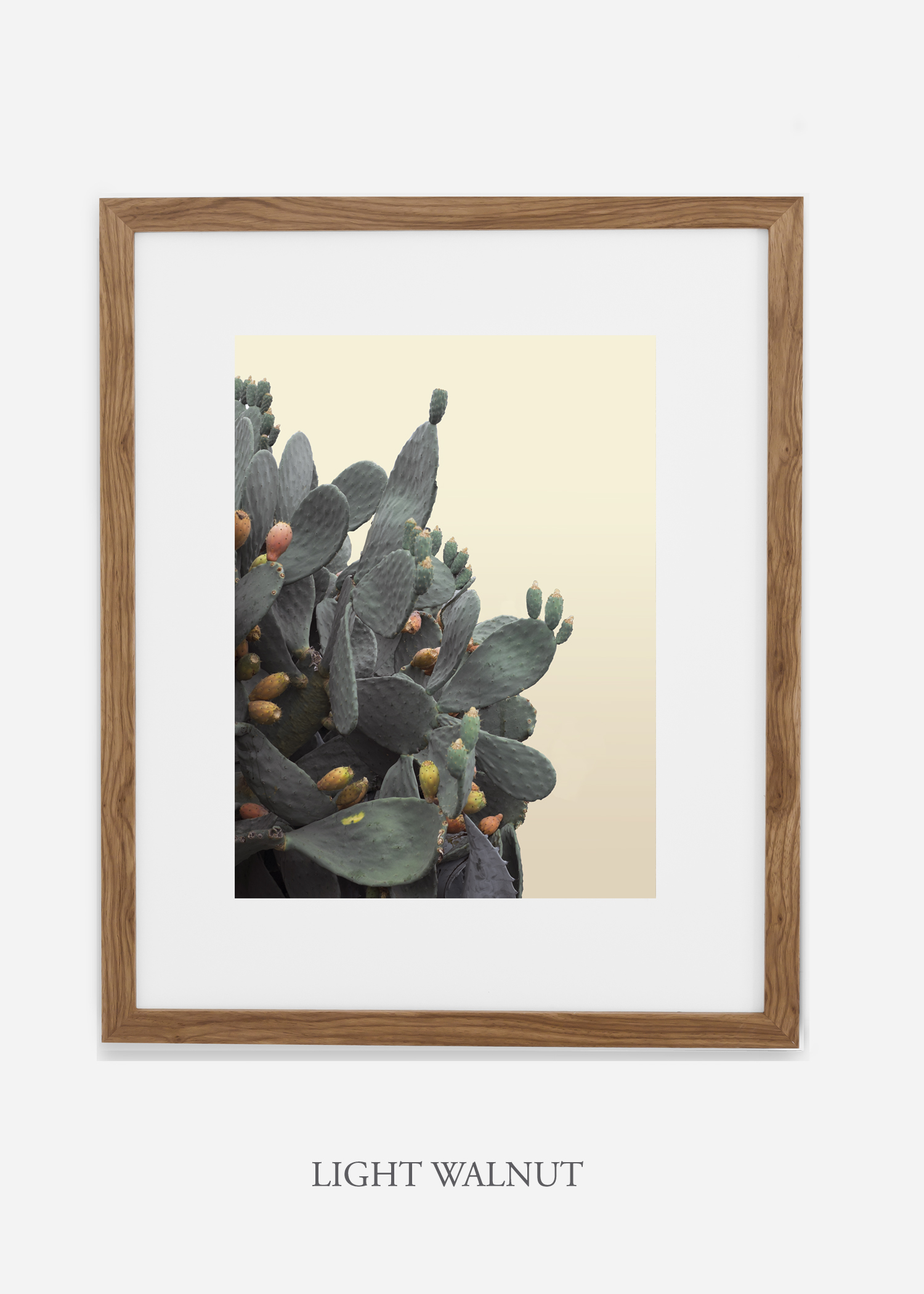 Desert_lightwalnutframe_FullMoonCactusCactus_Art_Photography_interiordesign_bohemian_cactusart.jpg