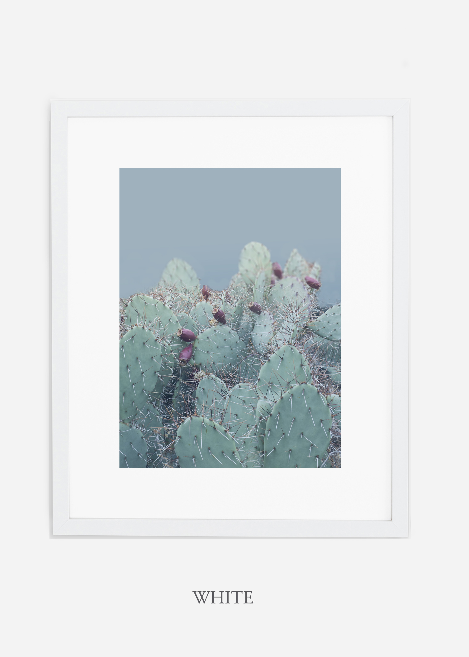 Desert_whiteframe_DesertBluesCactusCactus_Art_Photography_interiordesign_bohemian_cactusart.jpg