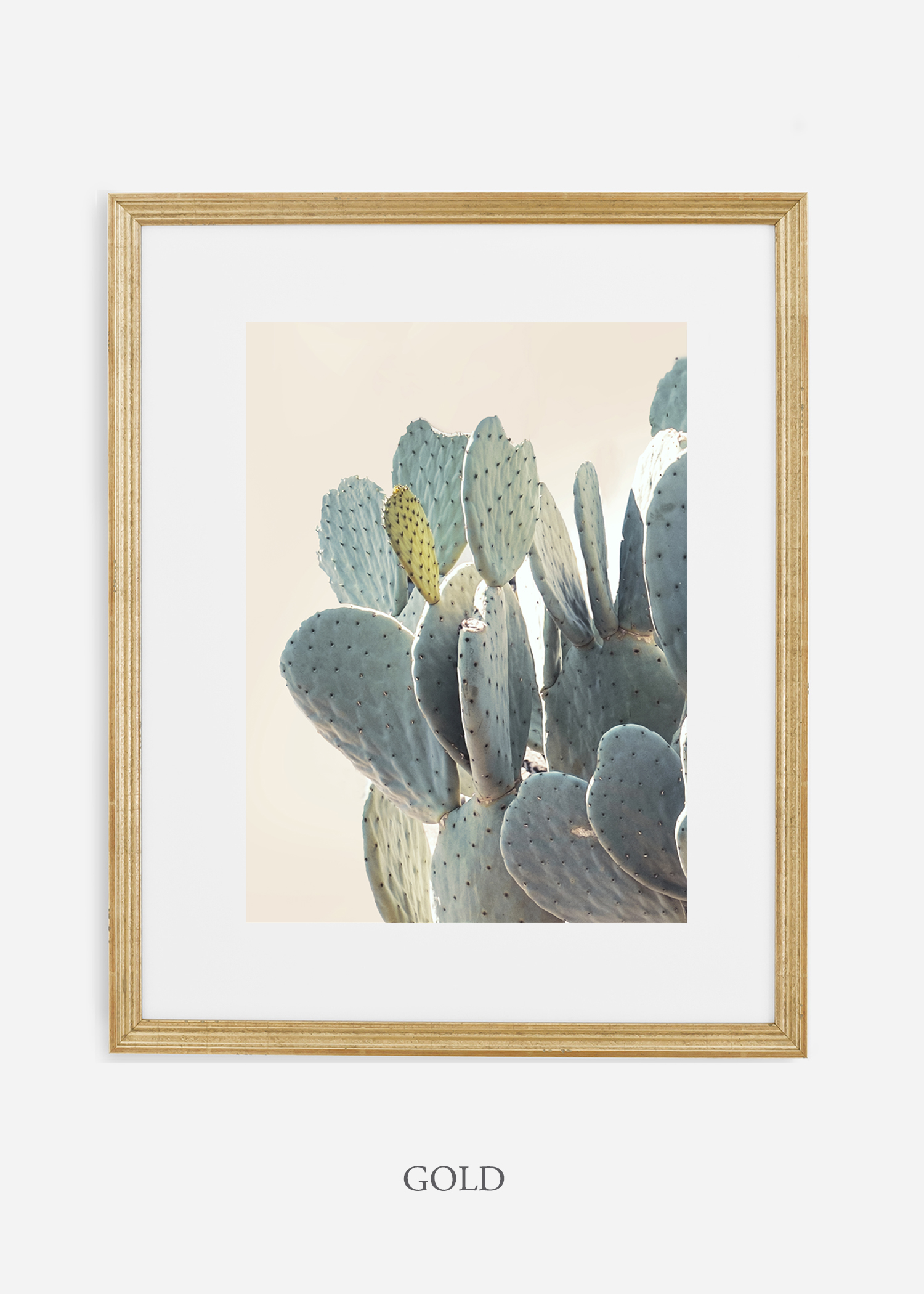 Desert_goldframe_DesertDetails_Cactus__Art_Photography_interiordesign_bohemian_cactusart.jpg