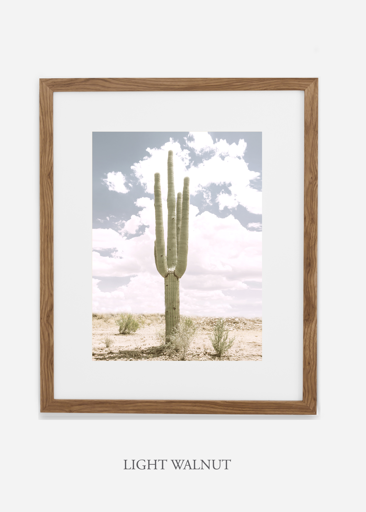 Desert_lightwalnutframe_SoloSaguaro_Southwest_Art_Photography_interiordesign_bohemian_cactusart.jpg