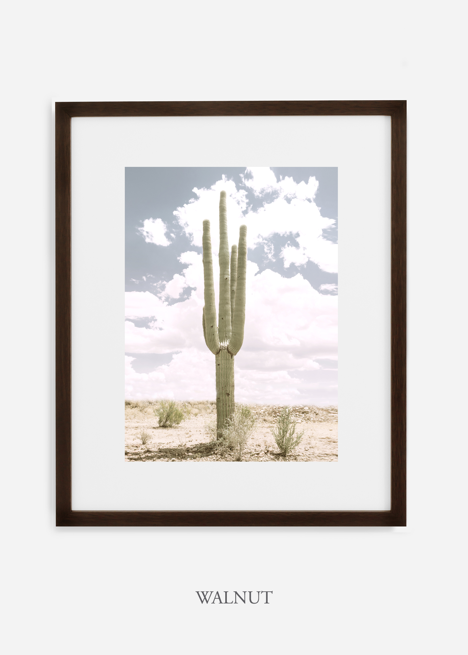 Desert_walnutframe_SoloSaguaro_Southwest_Art_Photography_interiordesign_bohemian_cactusart.jpg