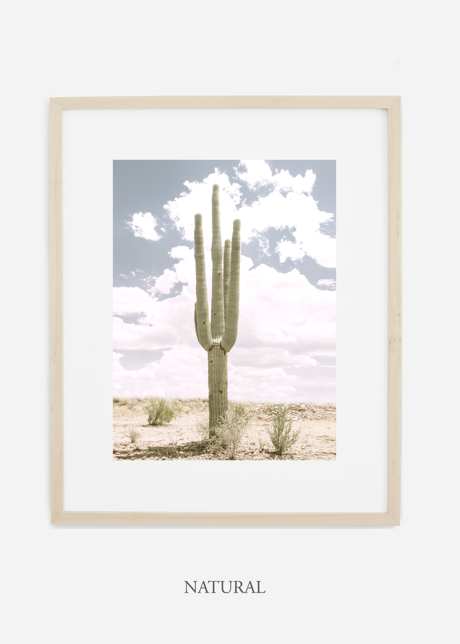 Desert_naturalframe_SoloSaguaro_Southwest_Art_Photography_interiordesign_bohemian_cactusart.jpg