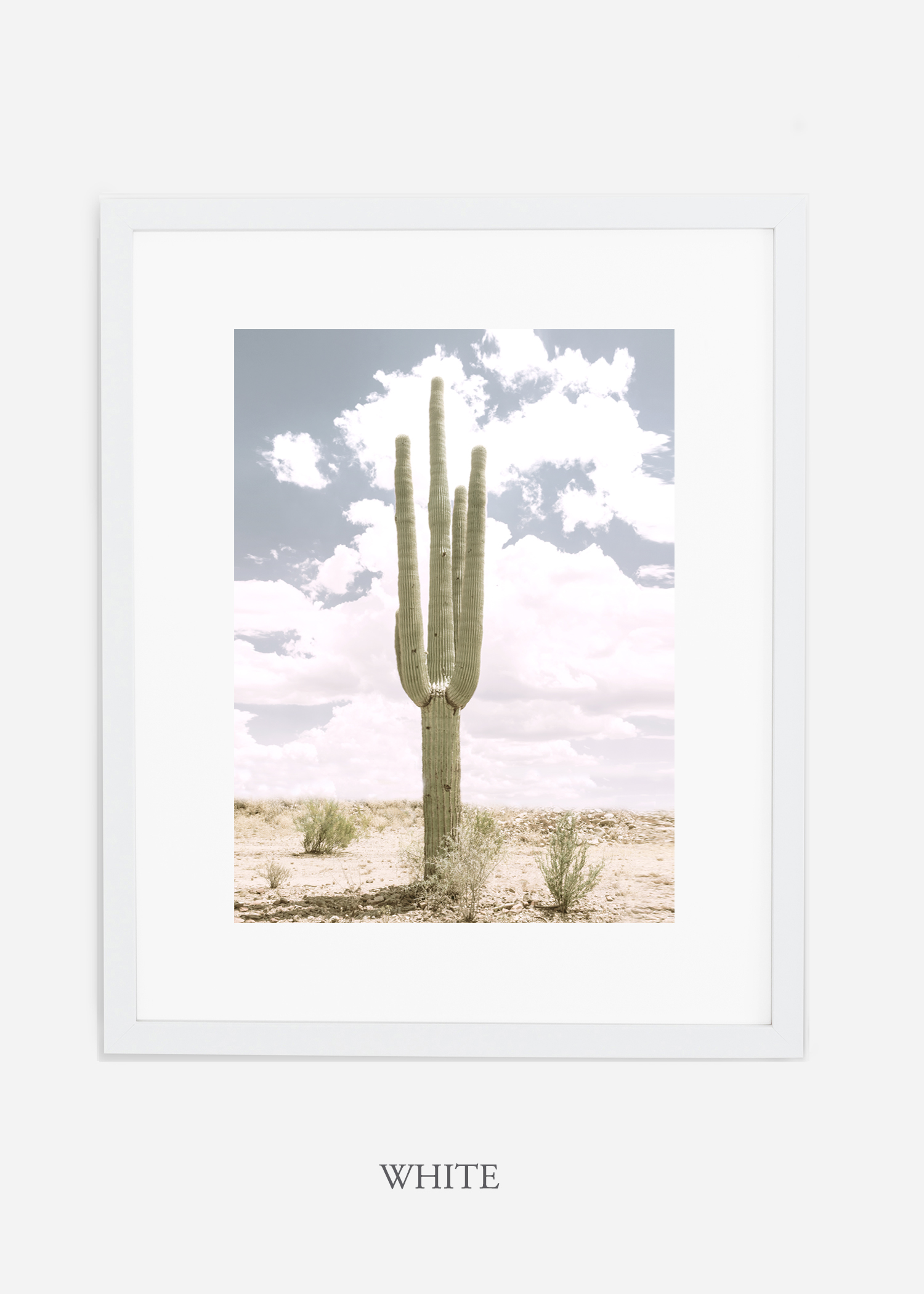 Desert_whiteframe_SoloSaguaro_Southwest_Art_Photography_interiordesign_bohemian_cactusart.jpg