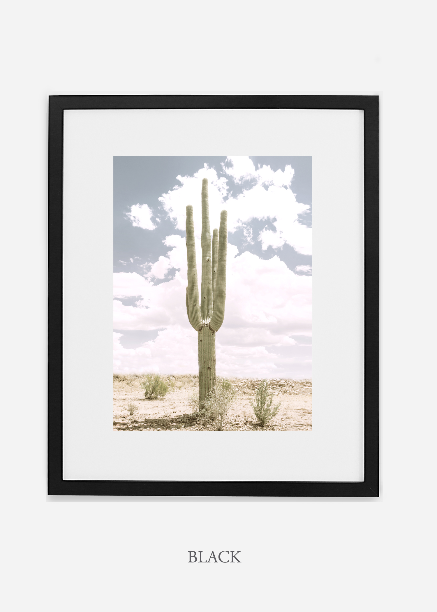 Desert_blackframe_SoloSaguaro_Southwest_Art_Photography_interiordesign_bohemian_cactusart.jpg