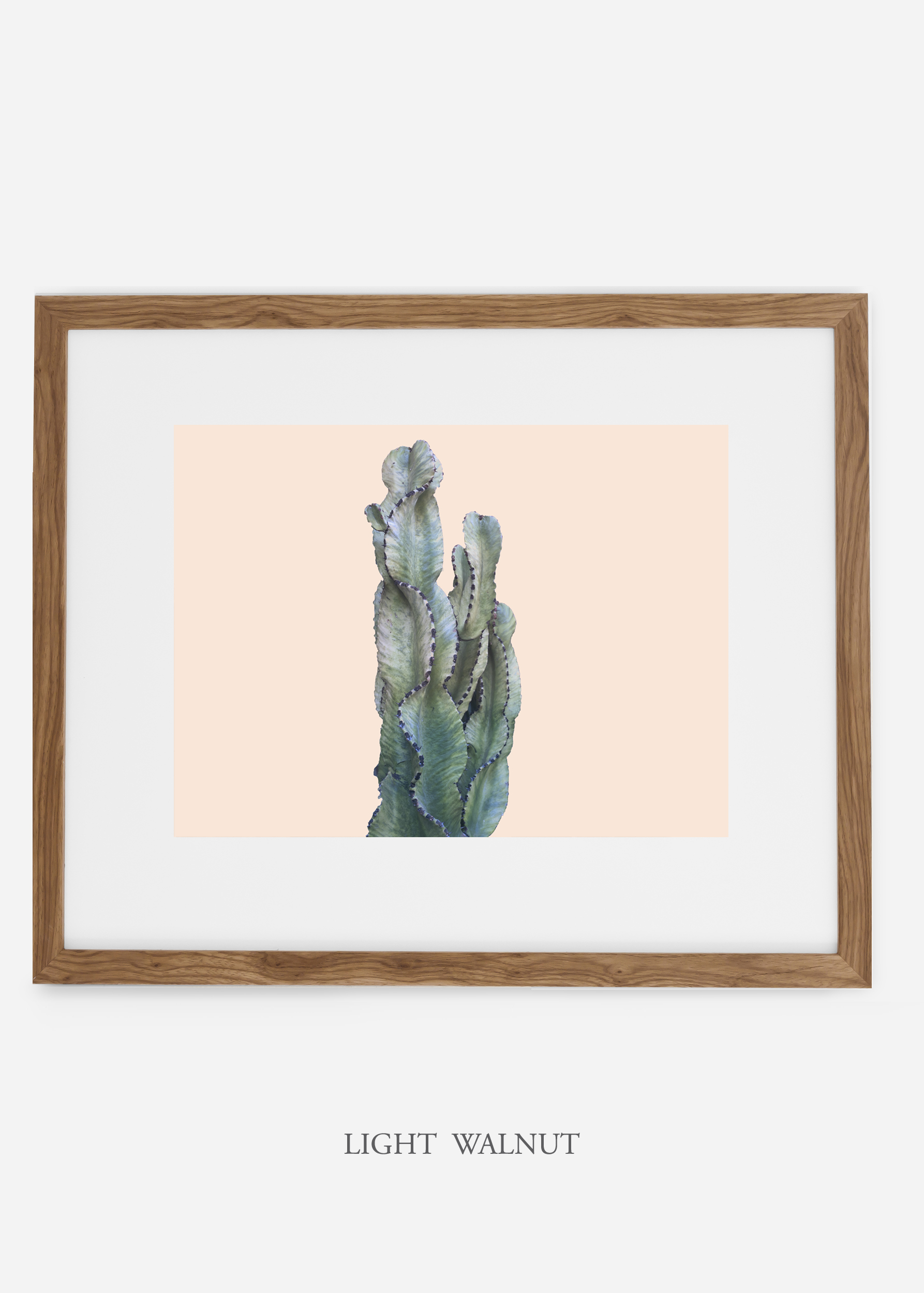 WilderCalifornia_lightwalnutframe_top_gallery__Cactus_Art_Photography_interiordesign_white_bohemian_neutral_photography_photo.jpg