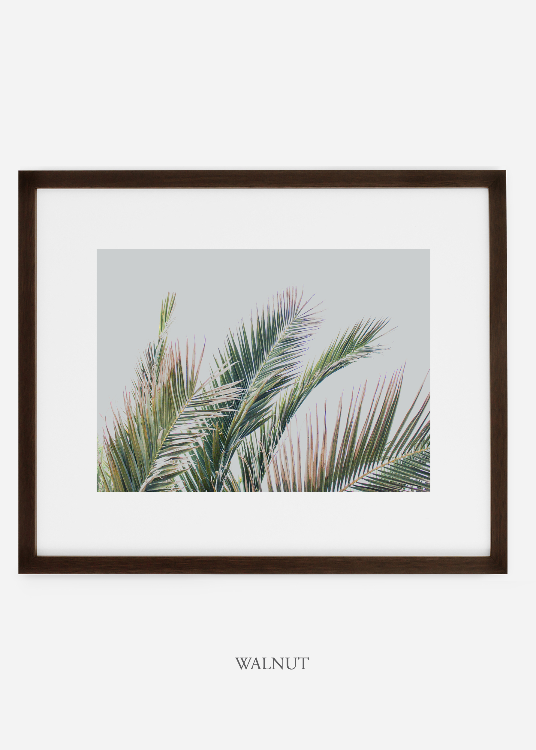 interiordesign_walnutframe_art_tropical_palmtree_StormyGrayPalm.jpg