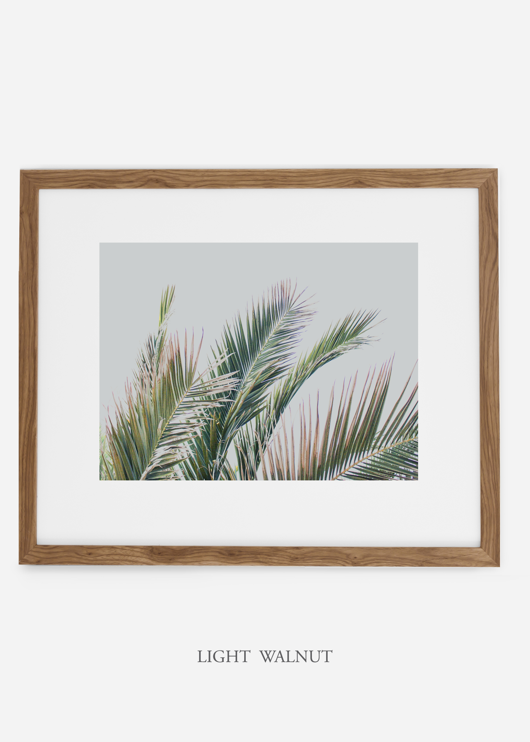 interiordesign_lightwalnutframe_art_tropical_palmtree_StormyGrayPalm.jpg