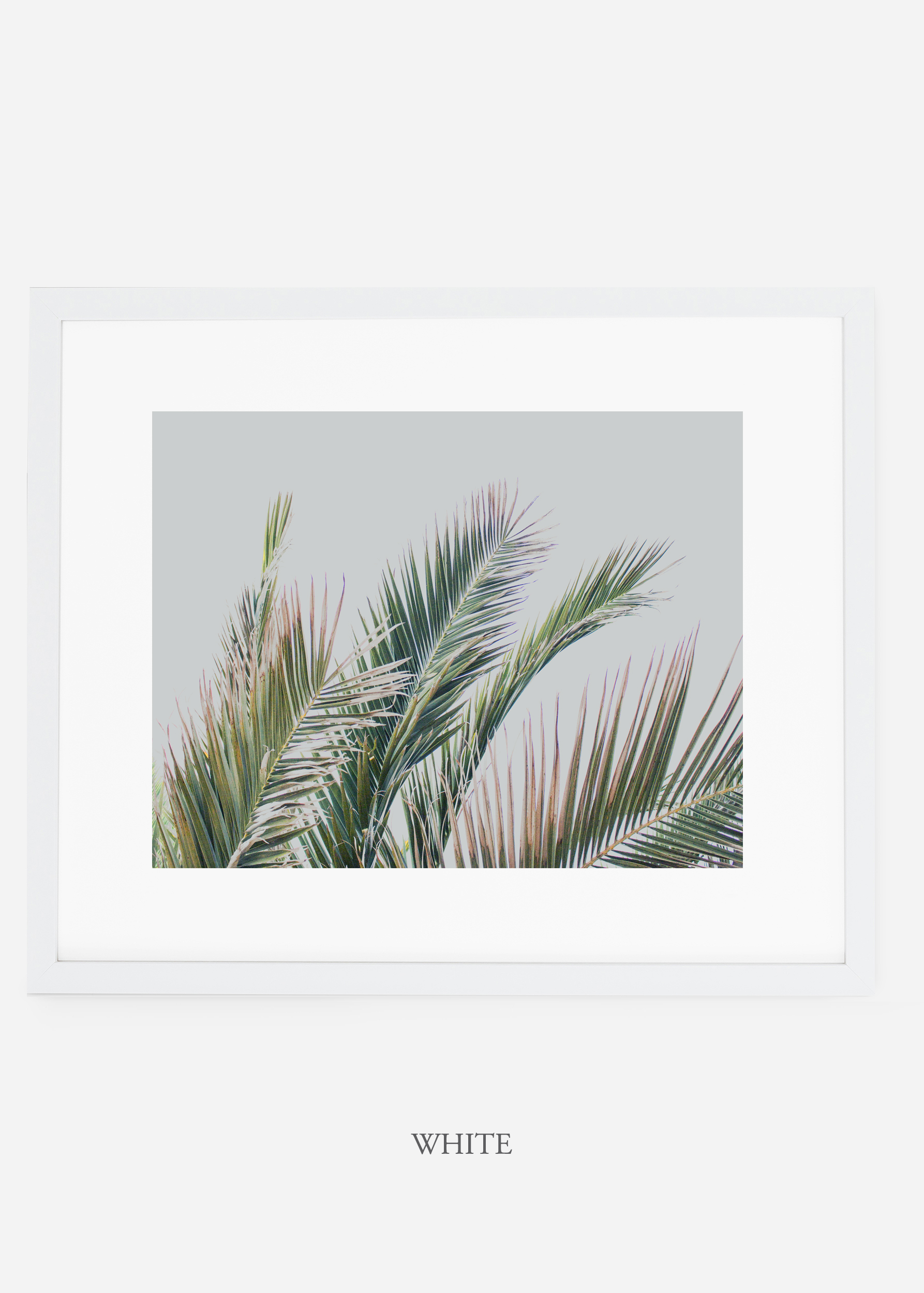 interiordesign_whiteframe_art_tropical_palmtree_StormyGrayPalm.jpg