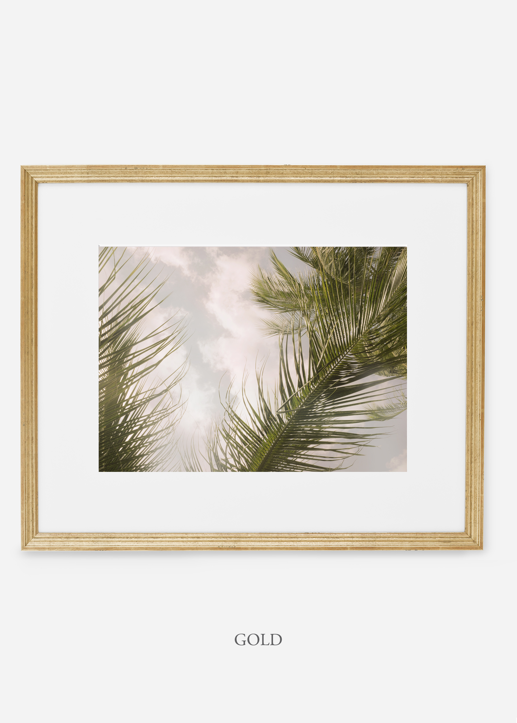 interiordesign_goldframe_AiryPalmTreeNo.1_art_tropical_palmtree_StormyGrayPalm.jpg