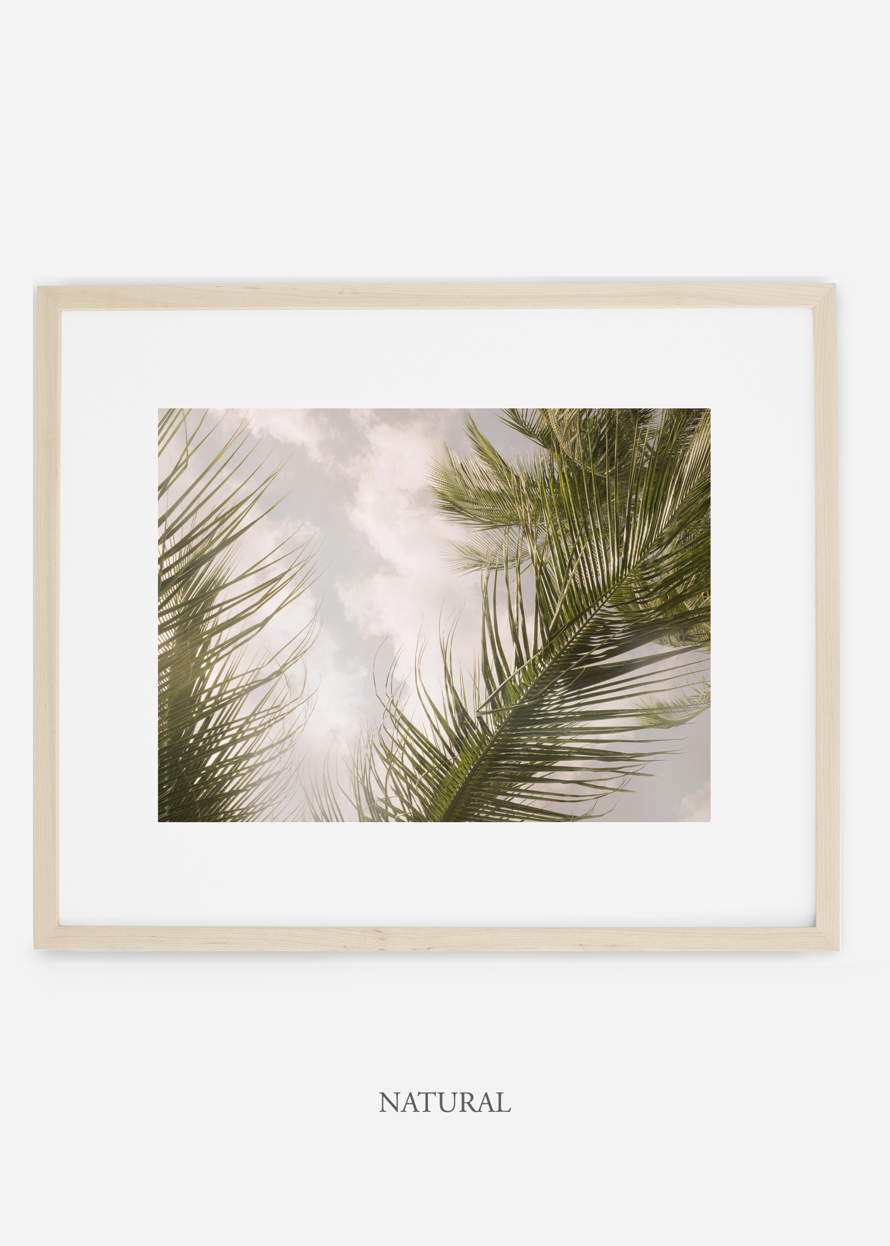 interiordesign_naturalframe_AiryPalmTreeNo.1_art_tropical_palmtree_StormyGrayPalm.jpg