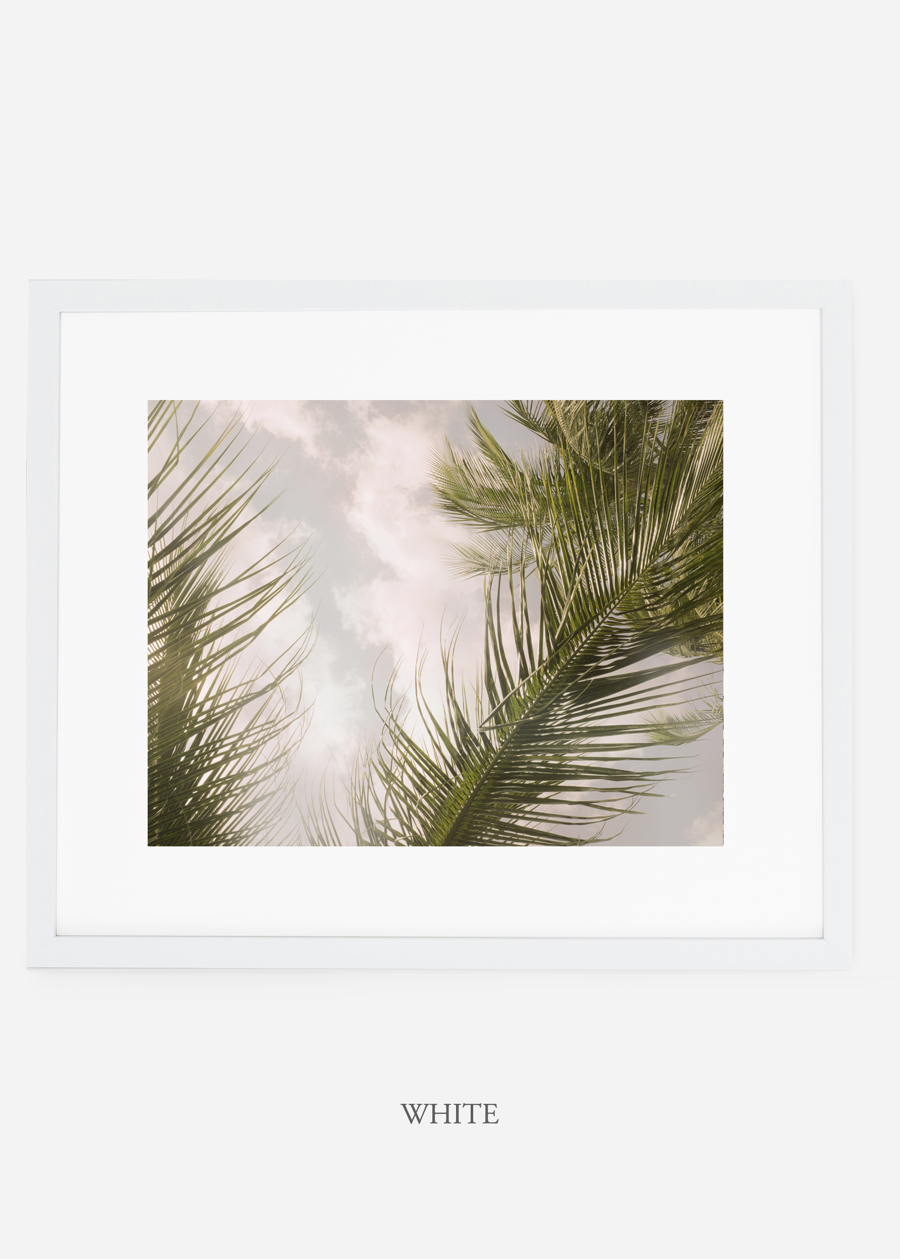 interiordesign_whiteframe_AiryPalmTreeNo.1_art_tropical_palmtree_StormyGrayPalm.jpg