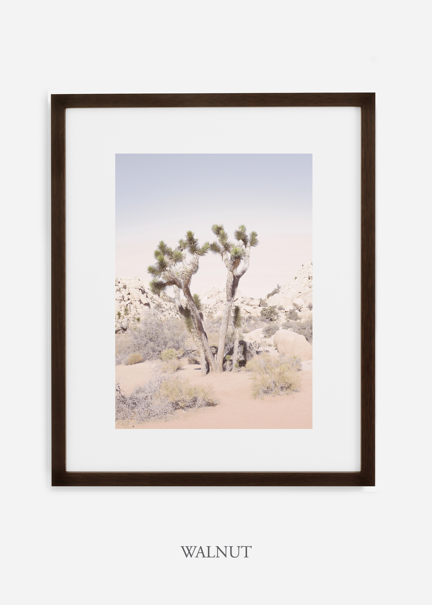 JoshuaTree_walnutframe__No.2_interiordesign_cactusprint_art.jpg