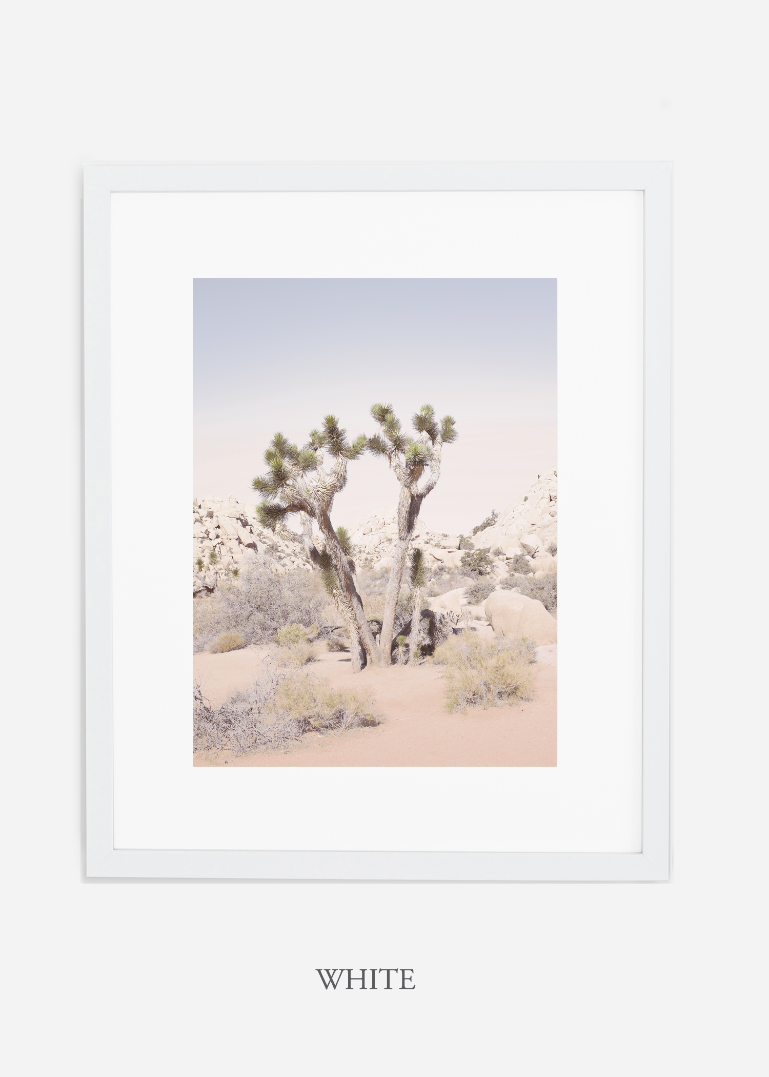 JoshuaTree_whiteframe__No.2_interiordesign_cactusprint_art.jpg