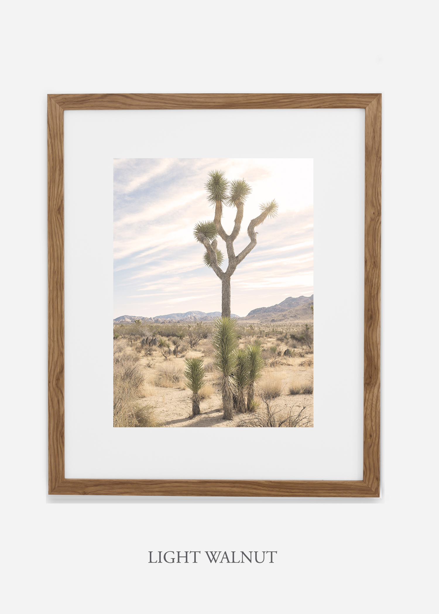 JoshuaTree_lightwalnutframe__No.7_interiordesign_cactusprint_art.jpg