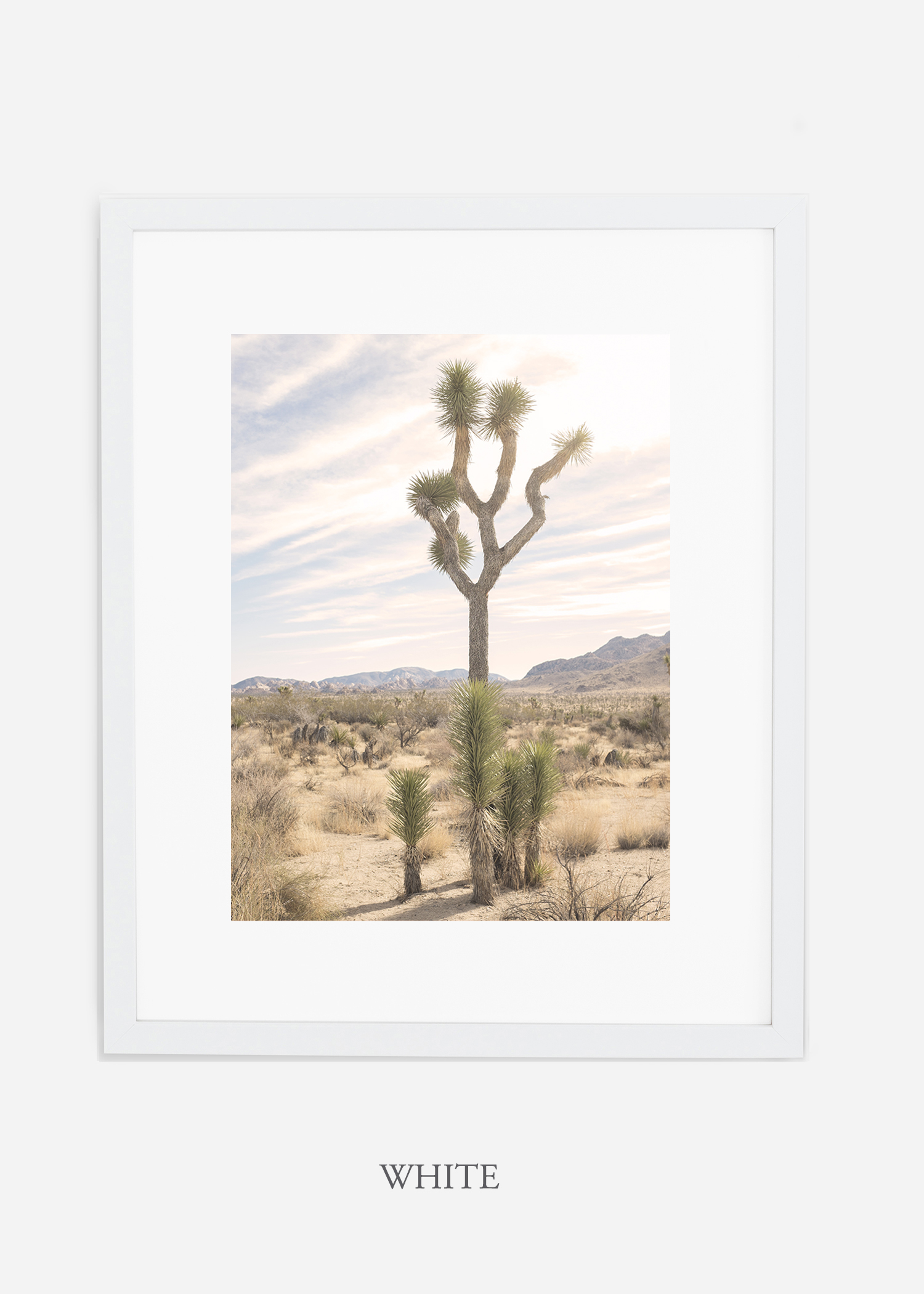 JoshuaTree_whiteframe__No.7_interiordesign_cactusprint_art.jpg