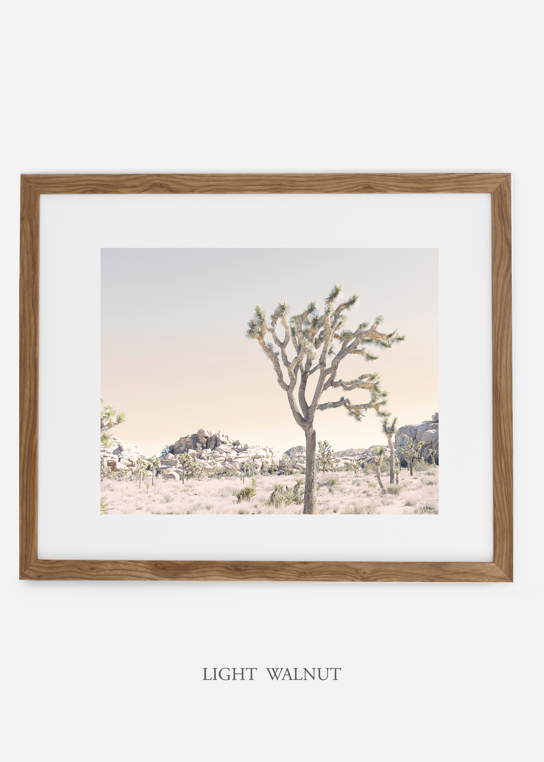 WilderCalifornia_lightwalnutframe_JoshuaTree_No.3_interiordesign_prints_art.jpg