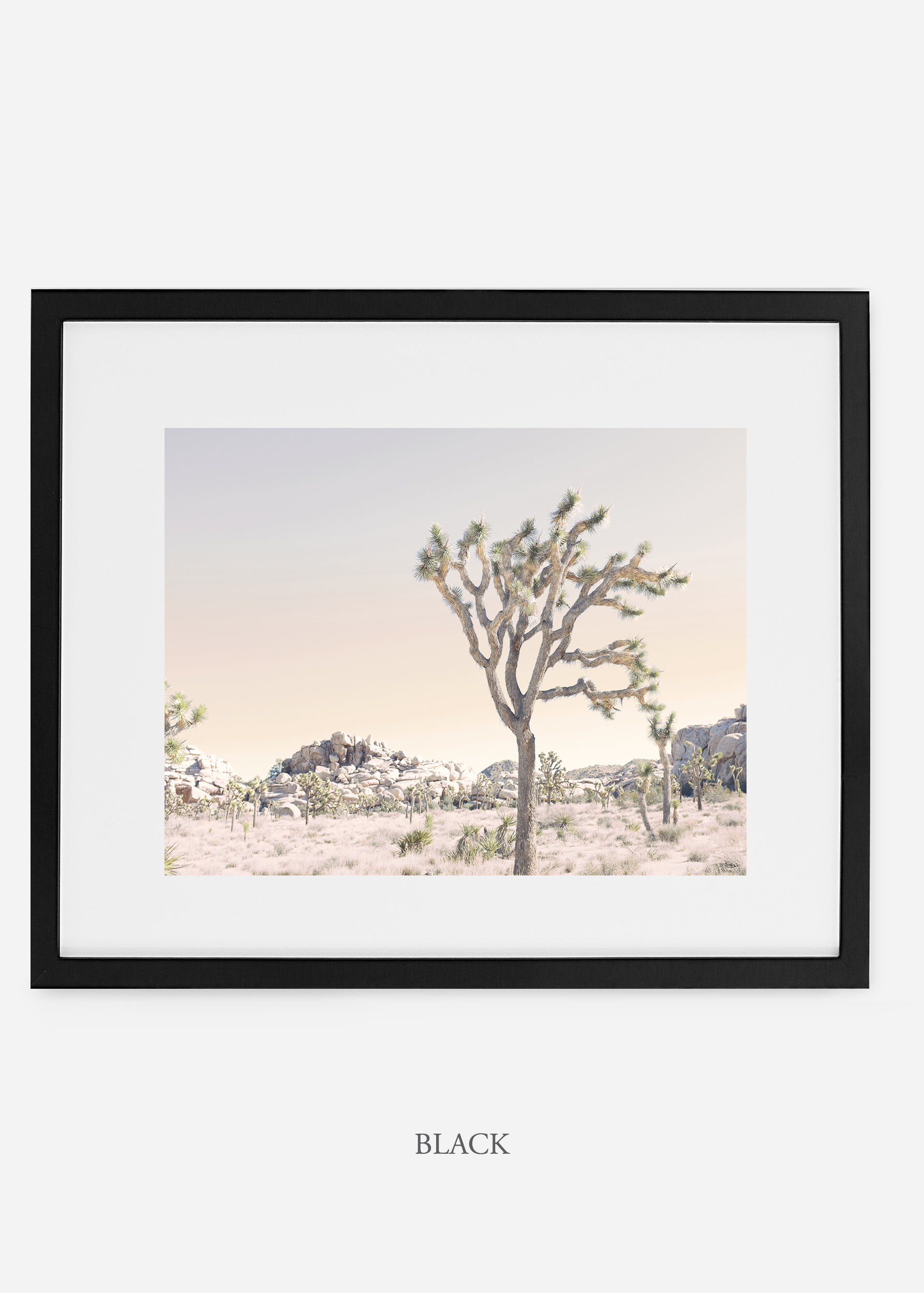 WilderCalifornia_blackframe_JoshuaTree_No.3_interiordesign_prints_art.jpg