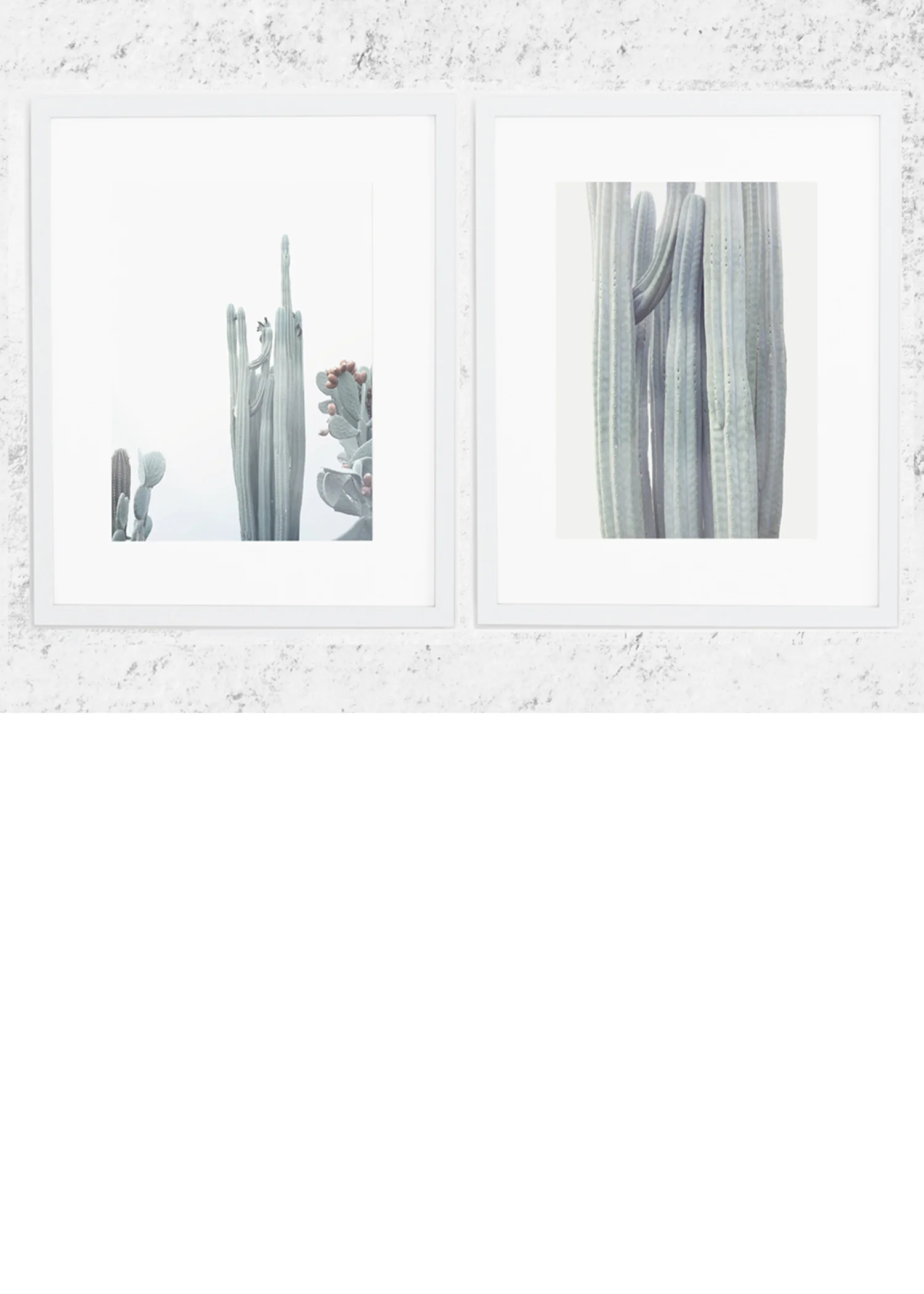 Winter Cacti Print Set