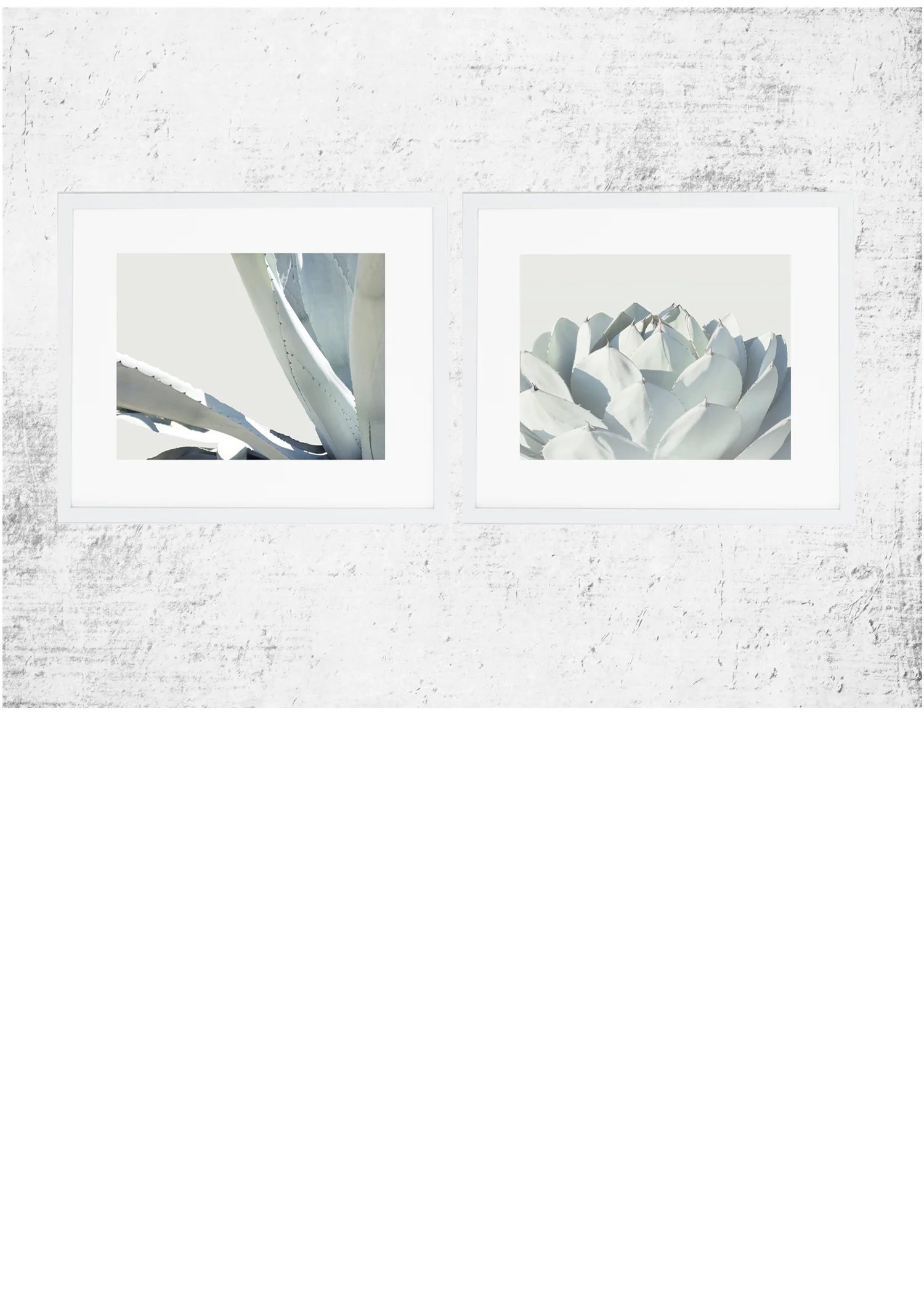 Winter Agave Print Set