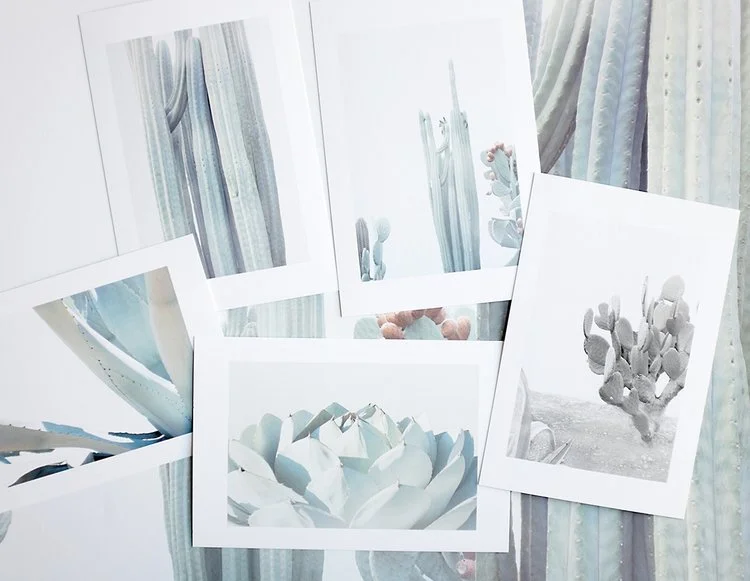 4x6 Winter Cacti Print Set