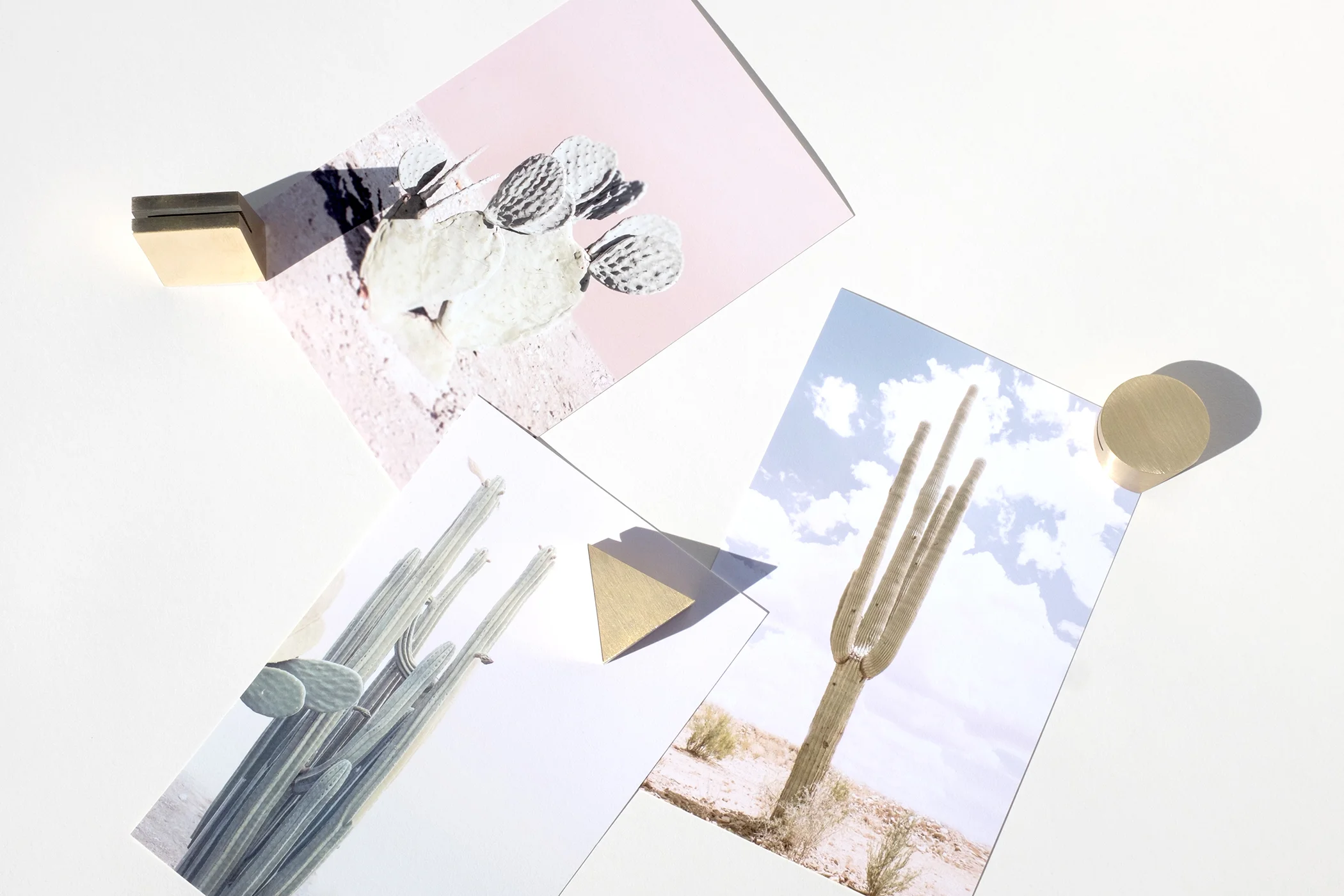 brassgeoset_minimalcactusset-41.jpg