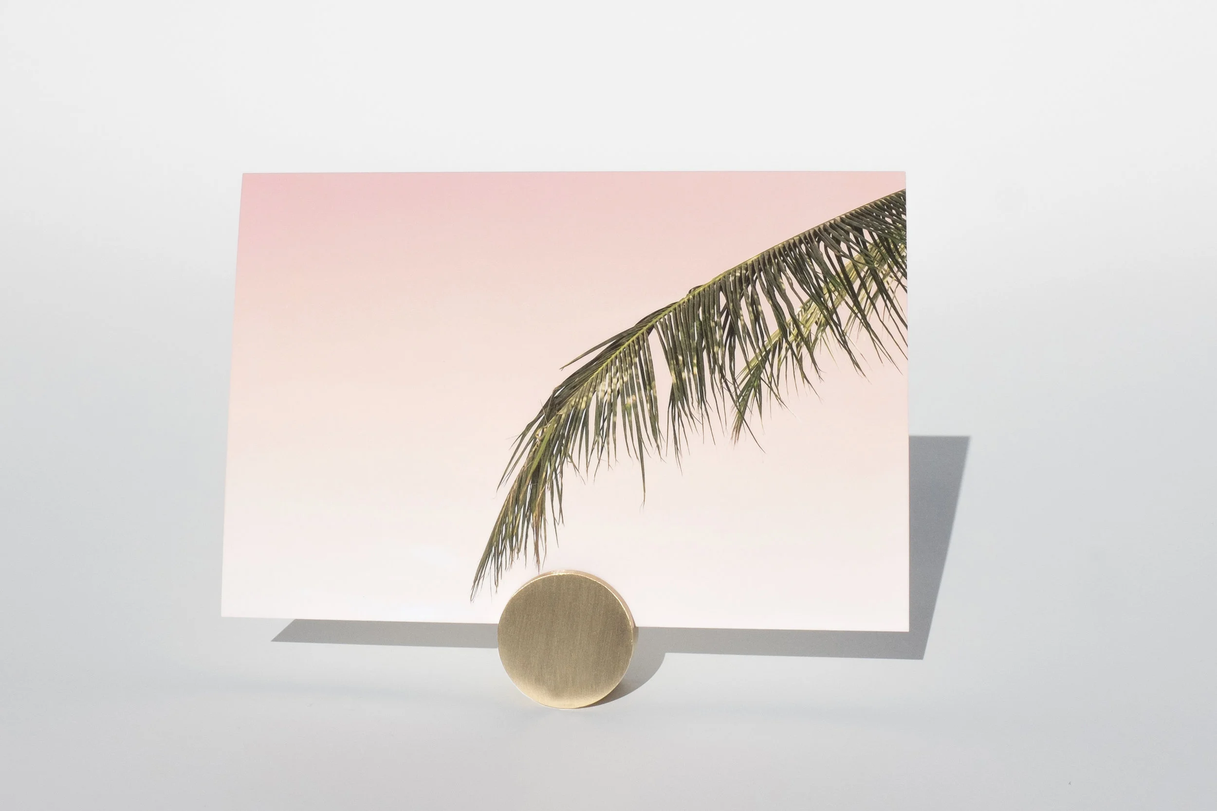 geo_set_circle_peachpalmprint.jpg