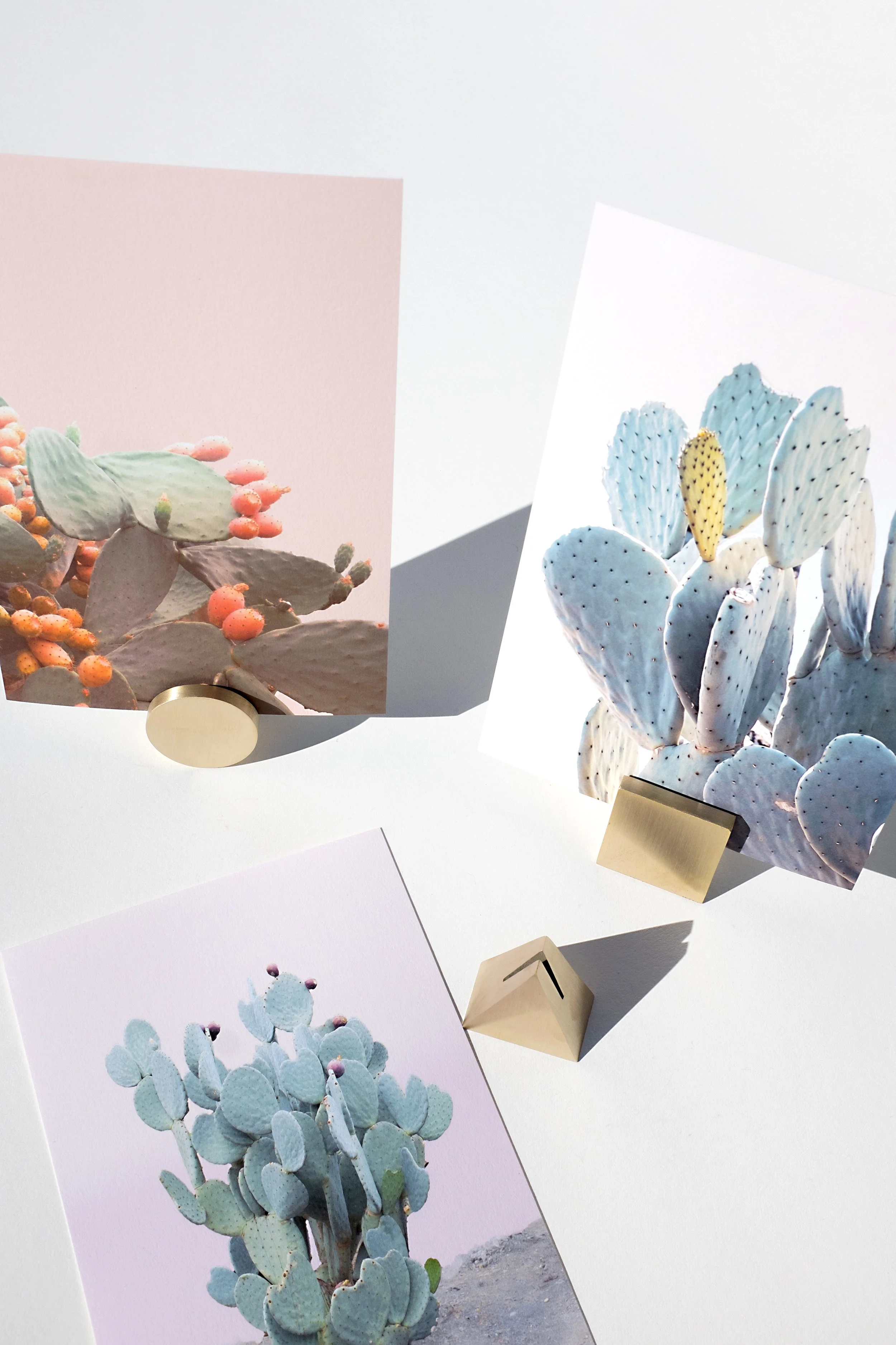 gold_set_three_pricklypear_2.jpg