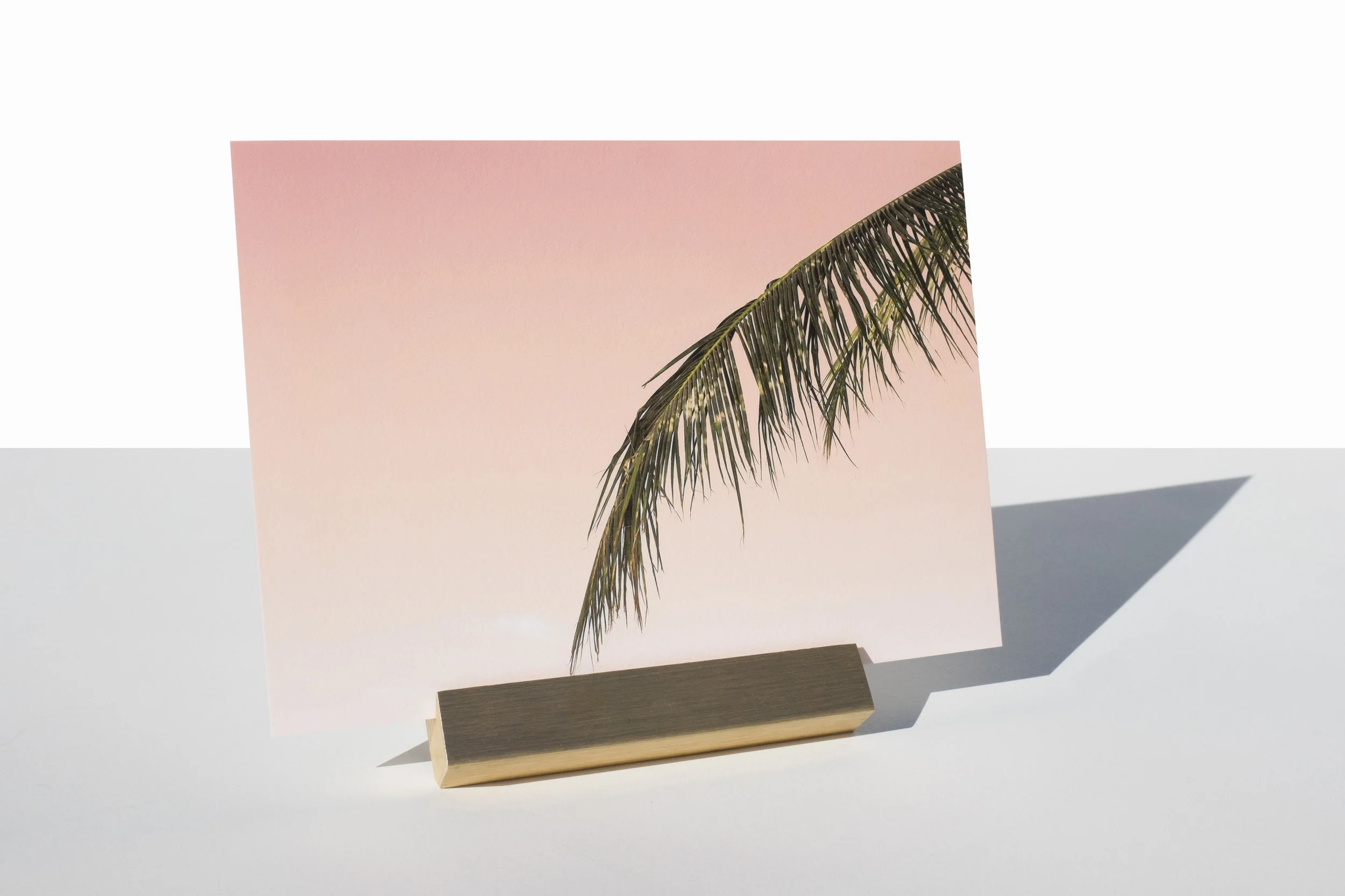 geobar_peachypalmtree.jpg