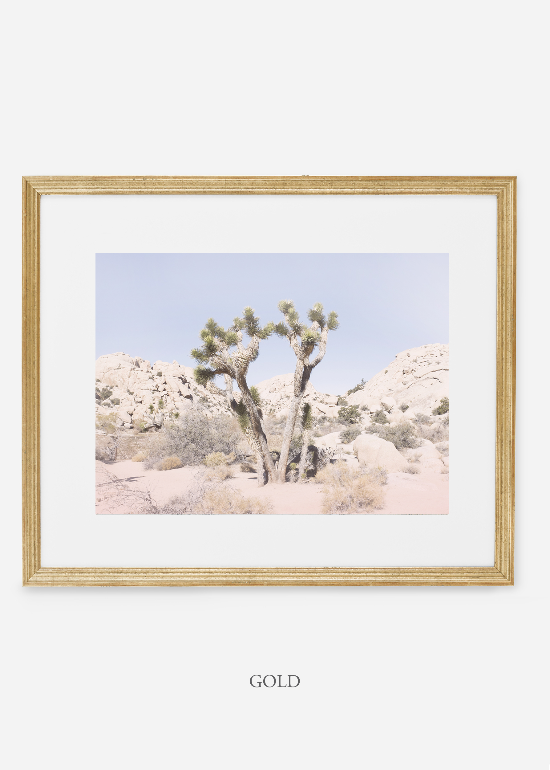 WilderCalifornia_gold_JoshuaTree_No.16_interiordesign_prints_art.jpg